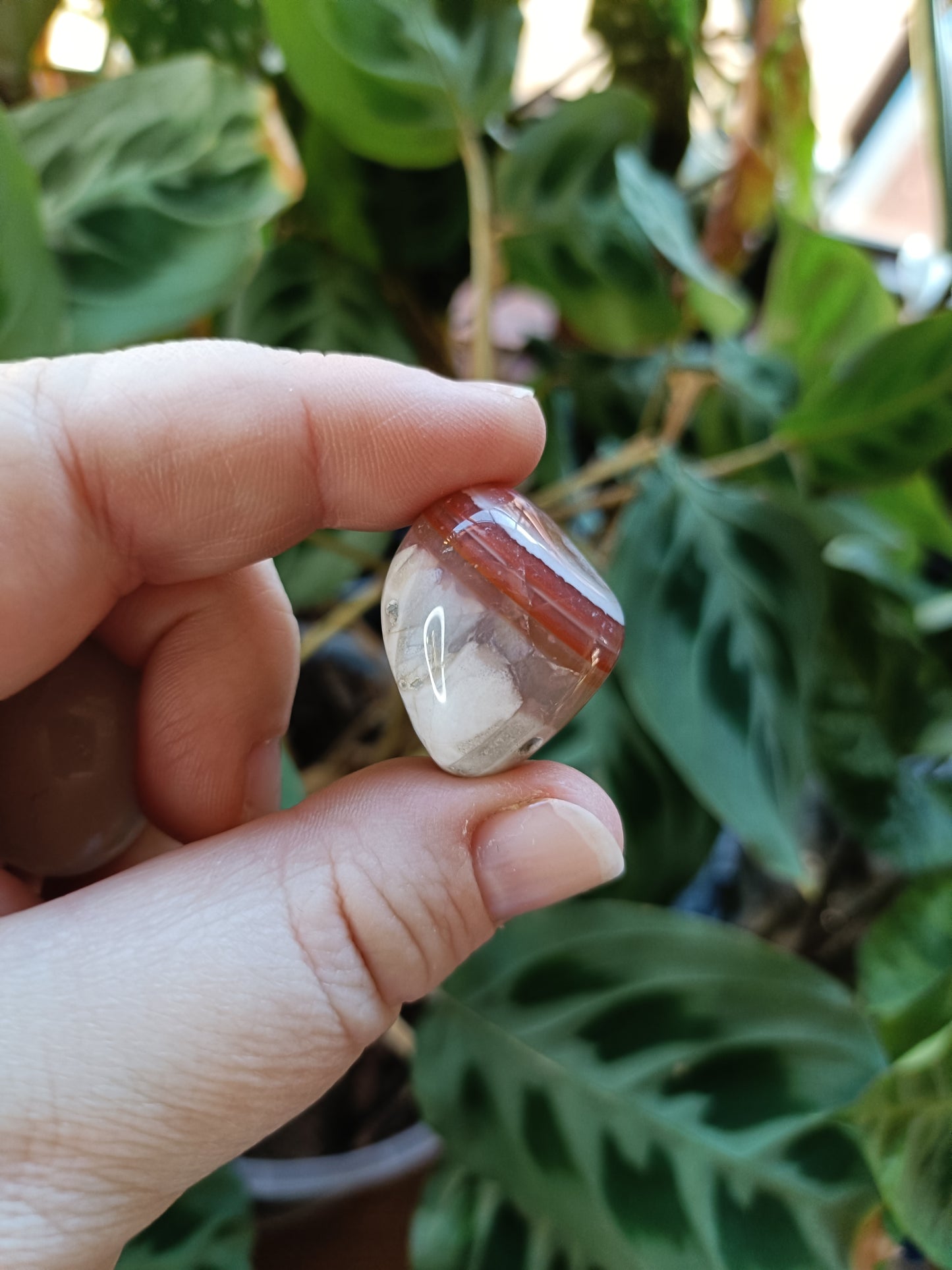 Botswana Agate Tumbles - 10-30g