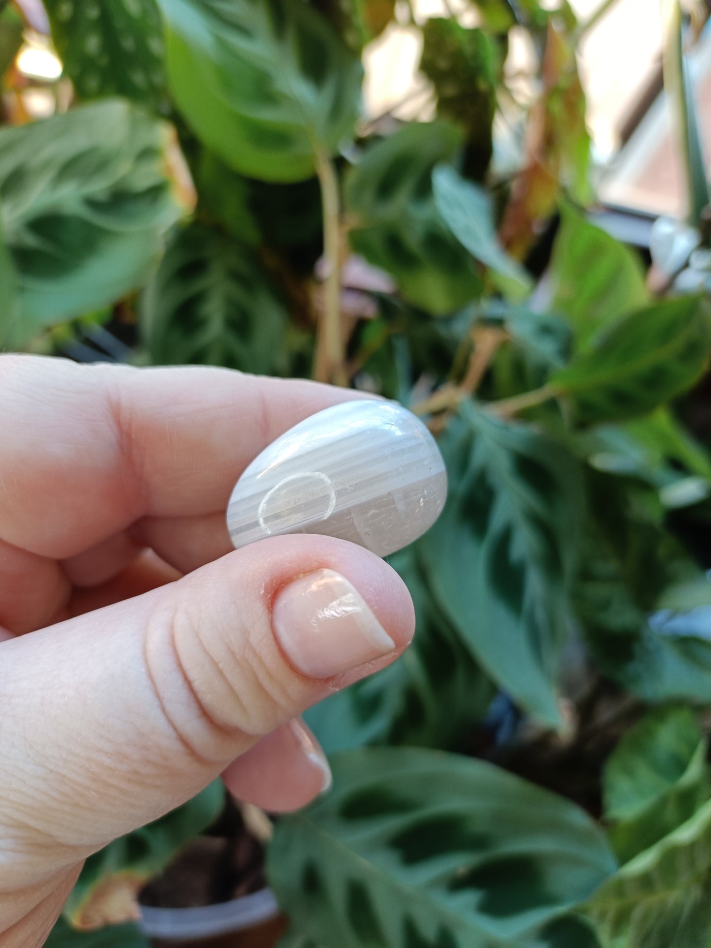 Botswana Agate Tumbles - 10-30g