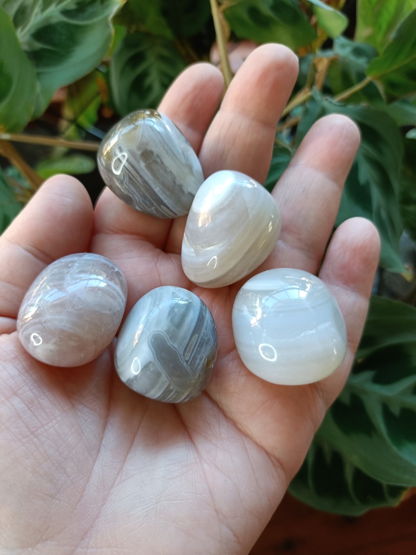 Botswana Agate Tumbles - 10-30g