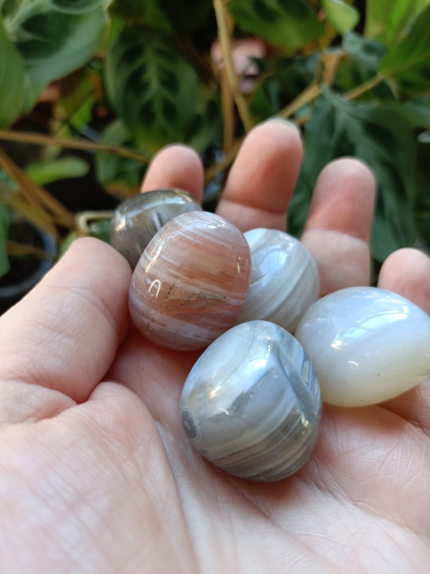 Botswana Agate Tumbles - 10-30g