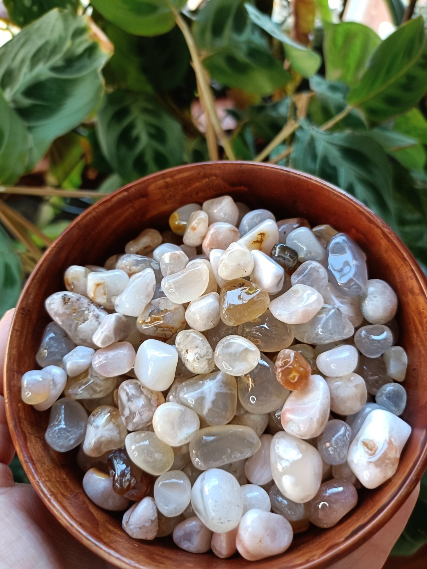 Flower Agate SMALL Tumbles - 50g