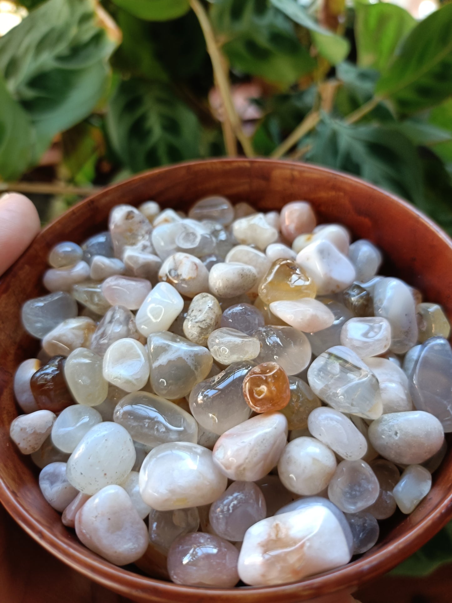 Flower Agate SMALL Tumbles - 50g