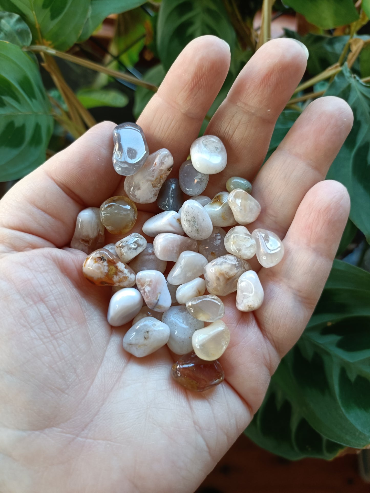 Flower Agate SMALL Tumbles - 50g