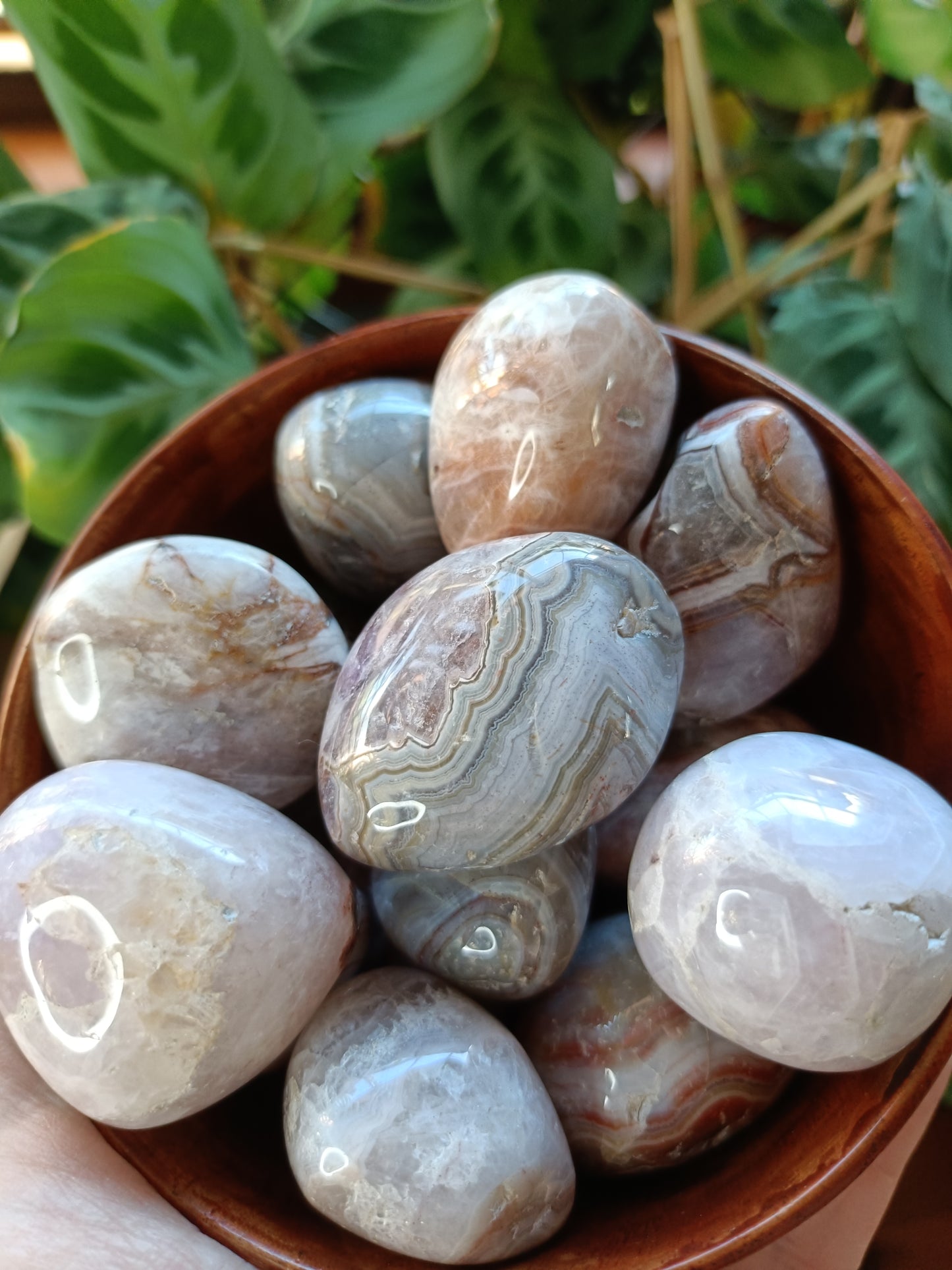 Large Amethyst & Mexican Lace Agate Tumbles - 30-50g