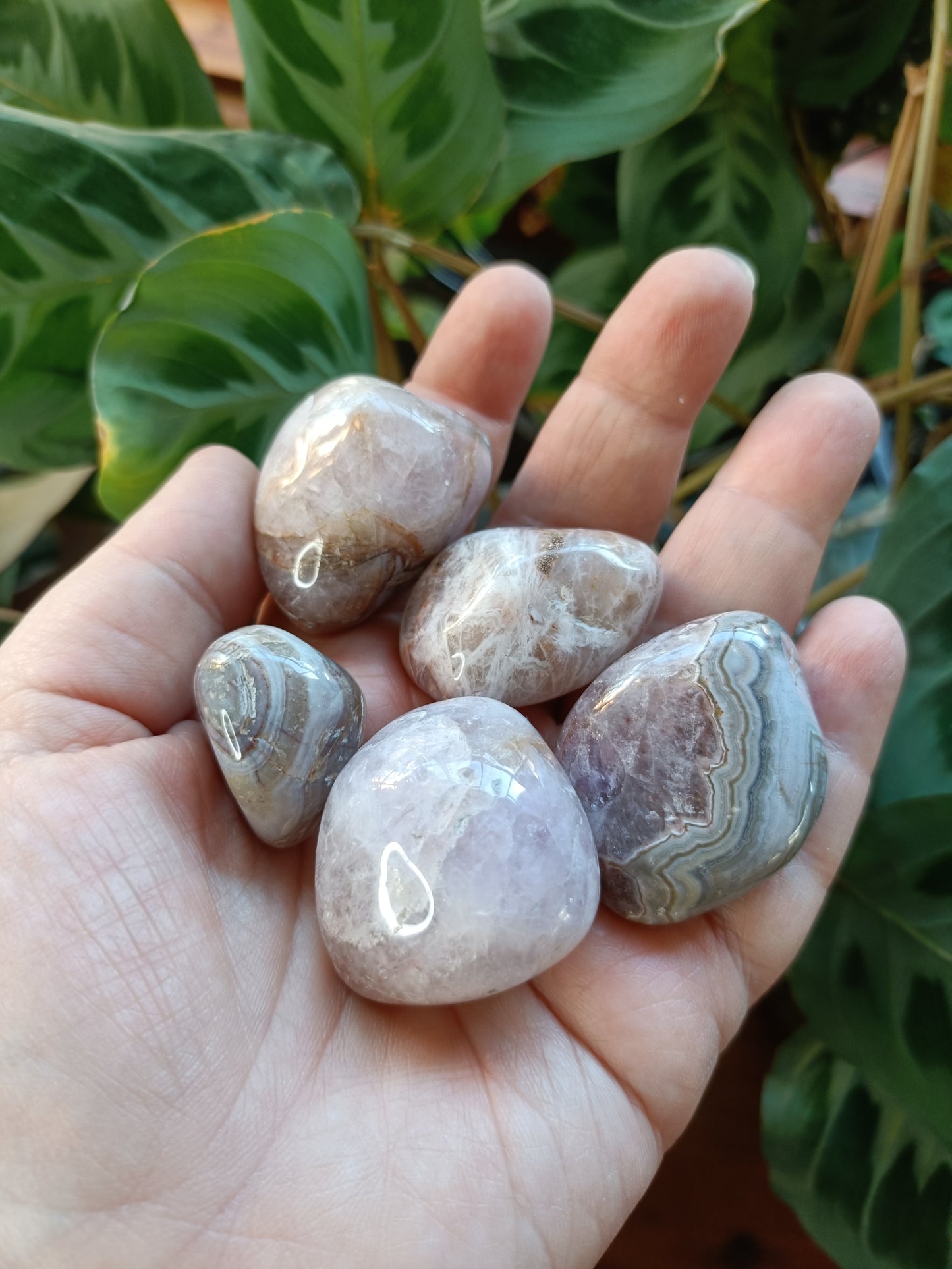 Large Amethyst & Mexican Lace Agate Tumbles - 30-50g