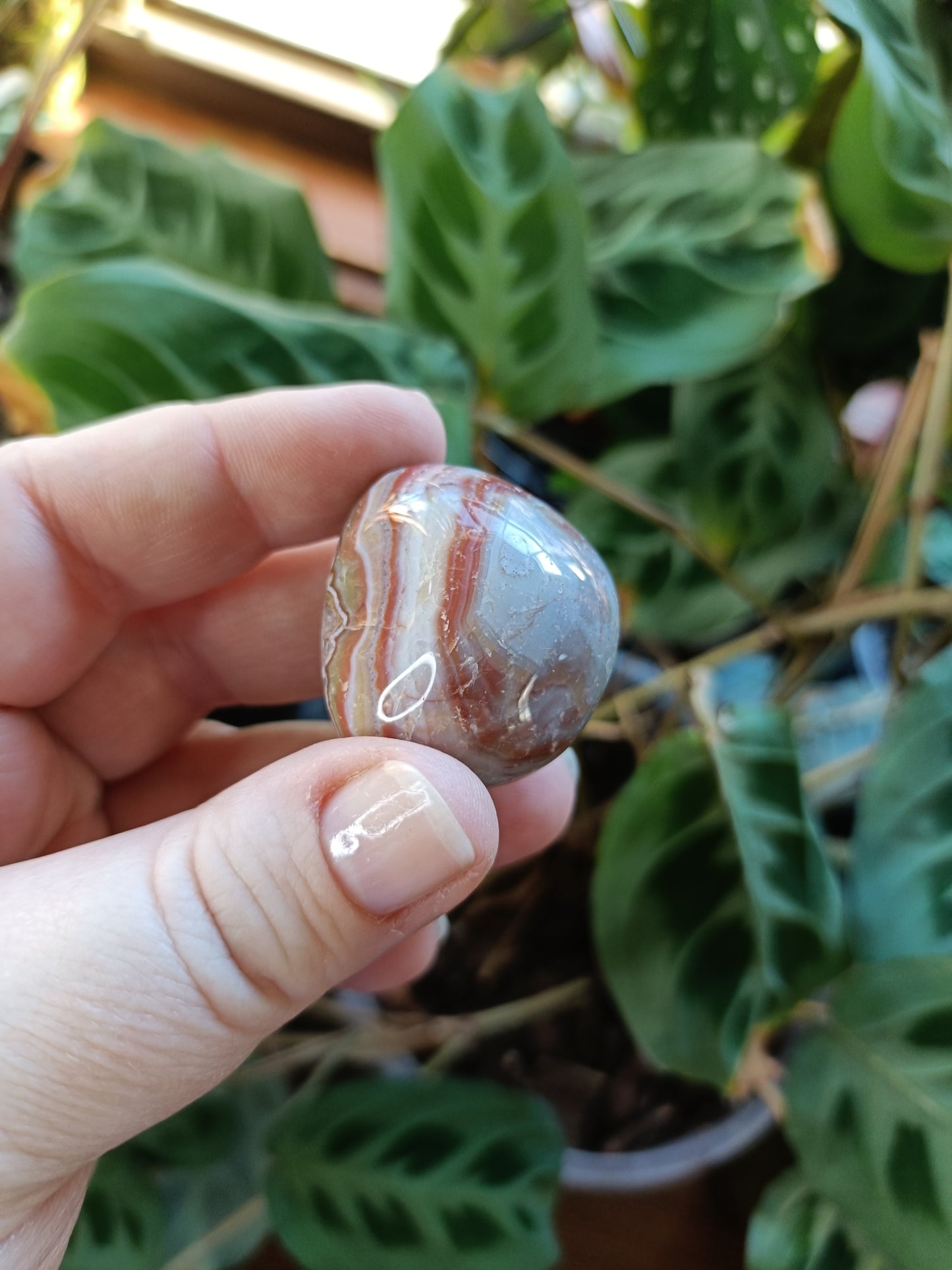 Large Amethyst & Mexican Lace Agate Tumbles - 30-50g