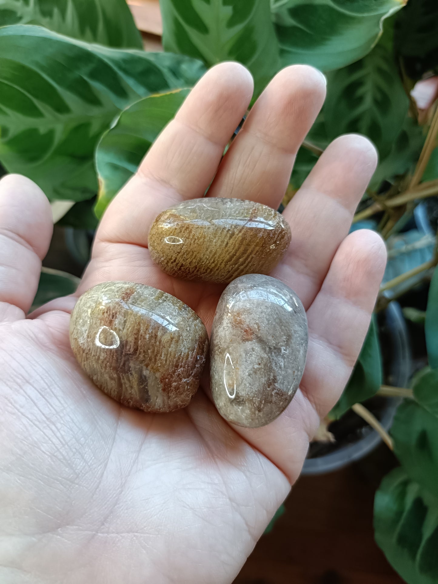 Thousand Layer Garden Quartz Tumbles - 15-35g