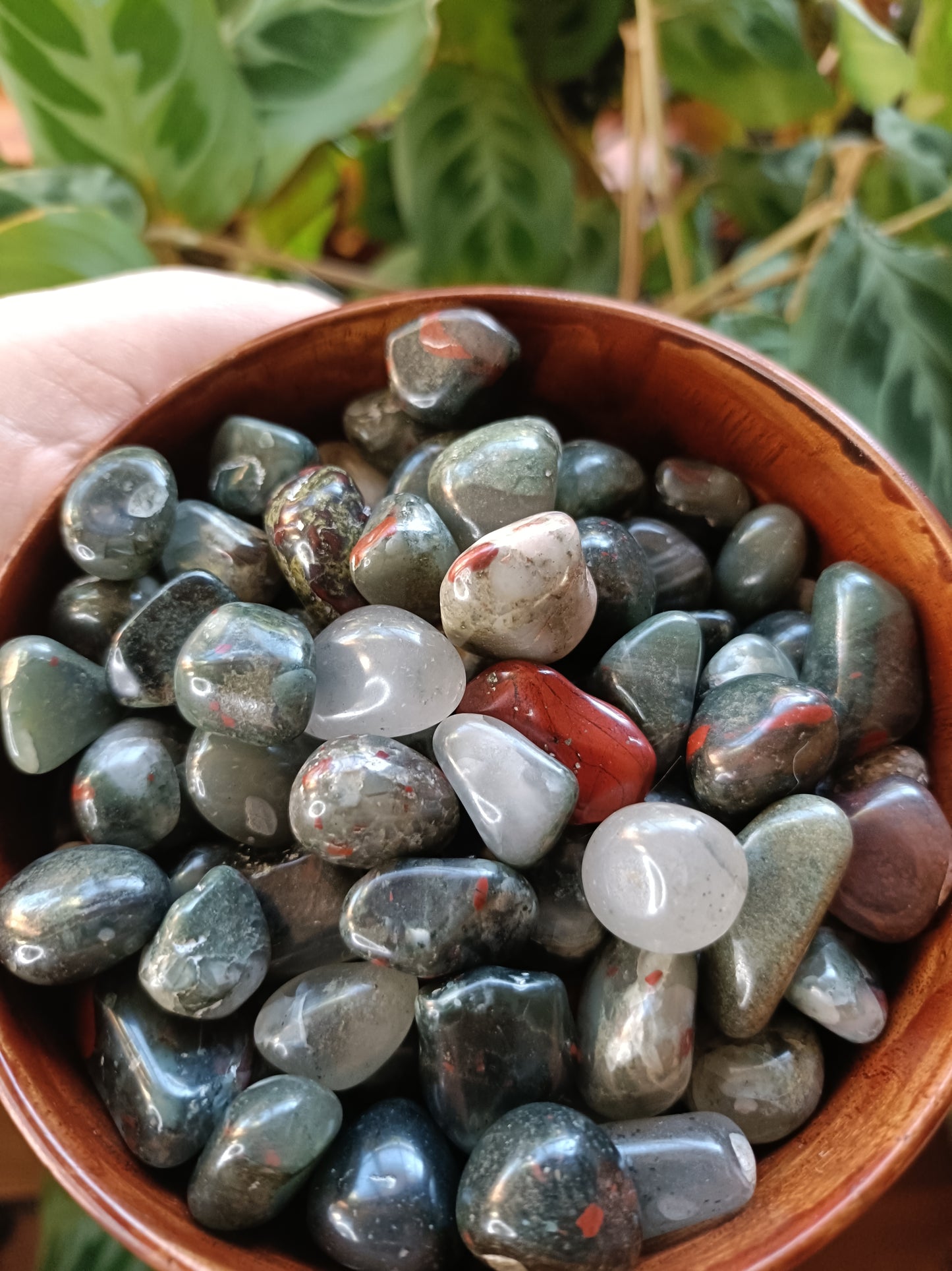 African Bloodstone SMALL Tumbles - 50g