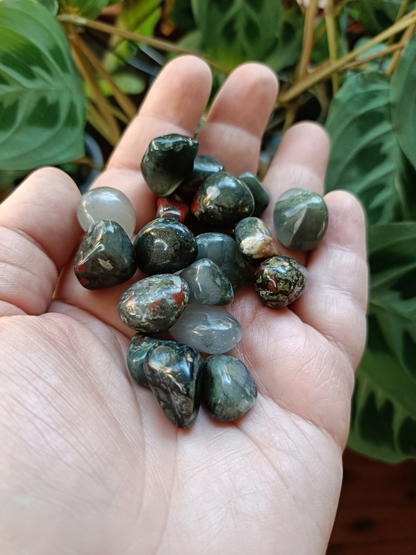 African Bloodstone SMALL Tumbles - 50g