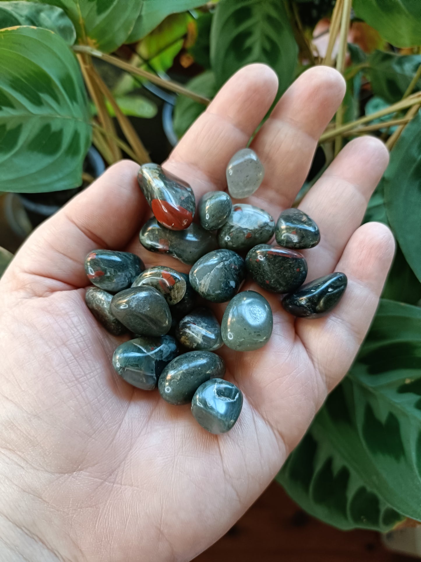 African Bloodstone SMALL Tumbles - 50g