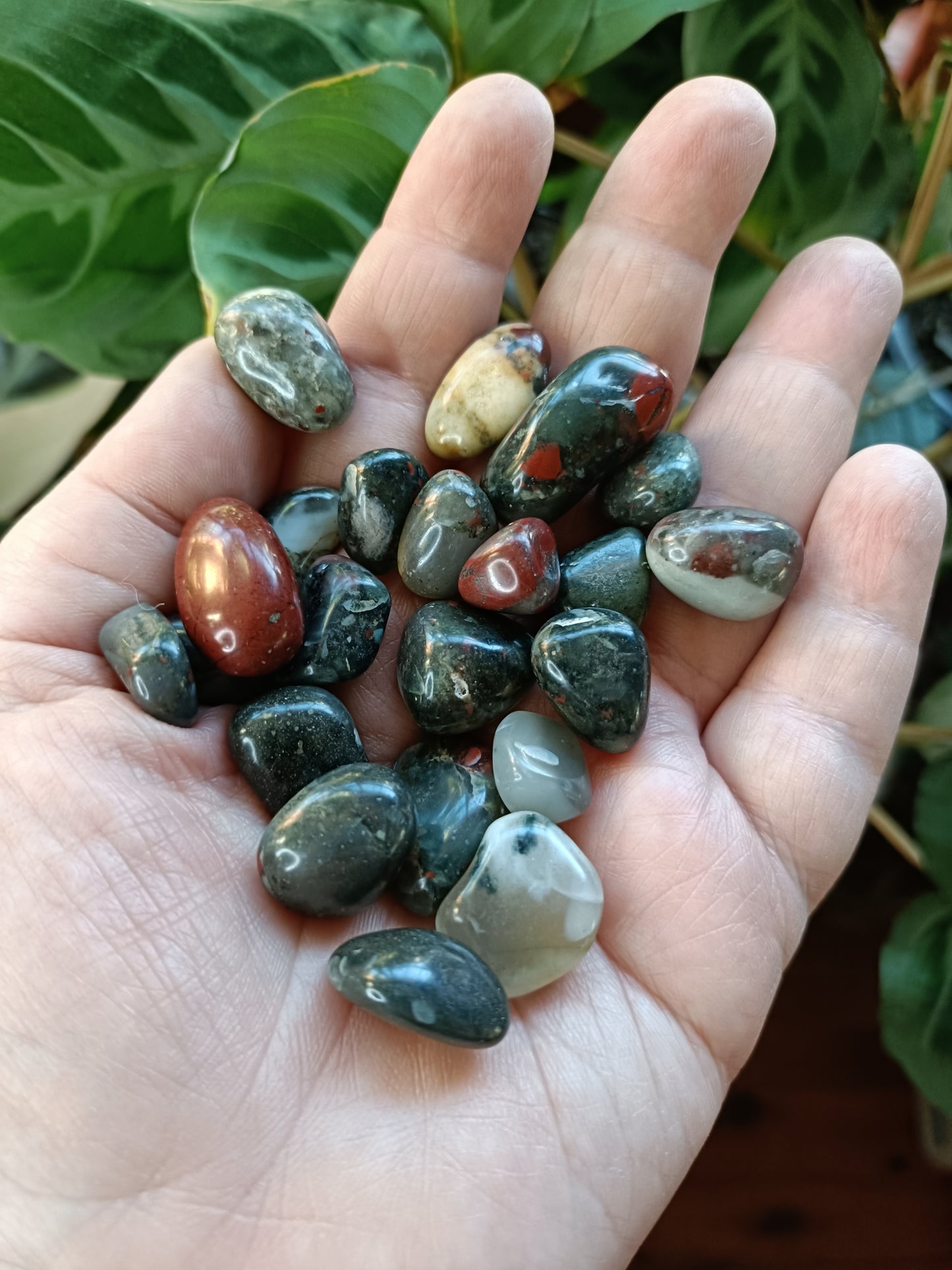African Bloodstone SMALL Tumbles - 50g