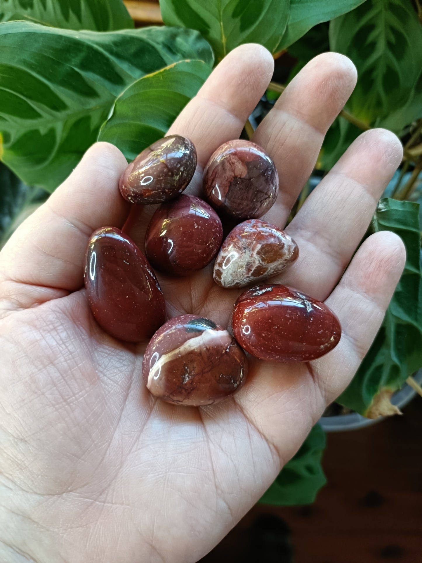 Mookaite Tumbles Tumbles - 50g
