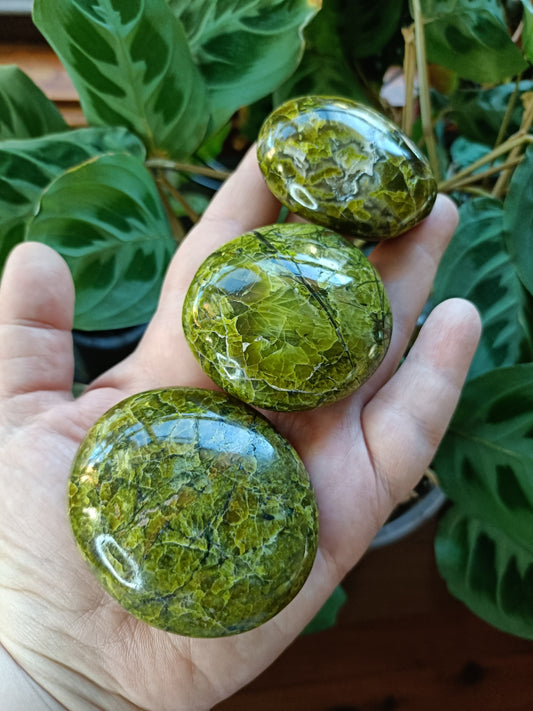 Green Opal Palm Stones - 60-100g