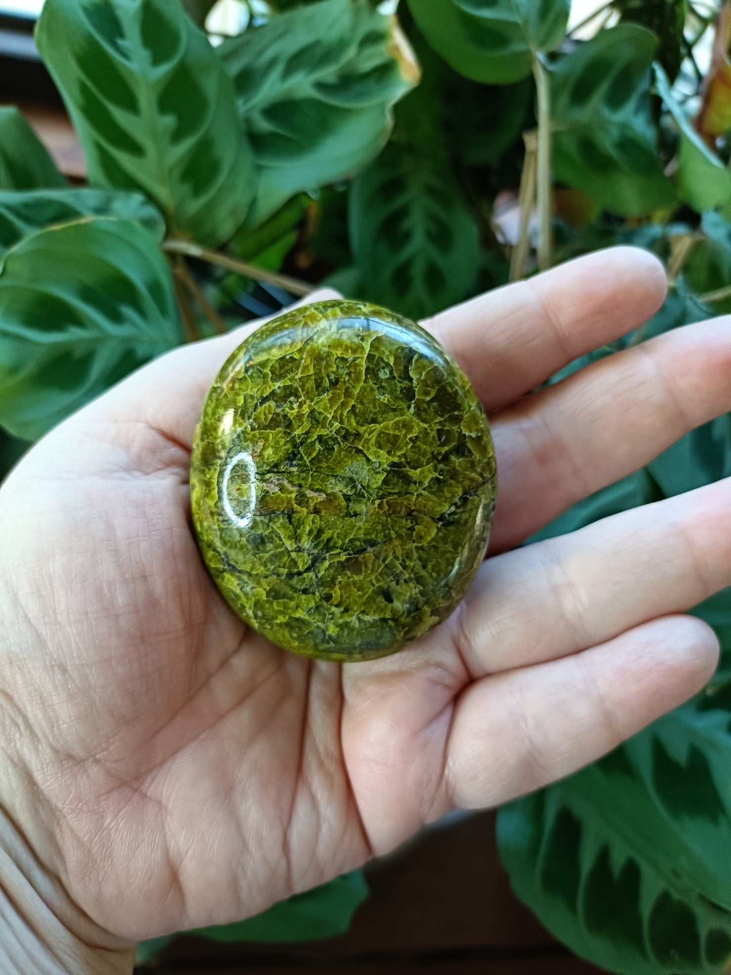 Green Opal Palm Stones - 60-100g