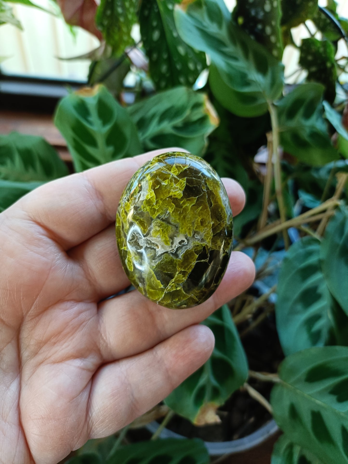 Green Opal Palm Stones - 60-100g
