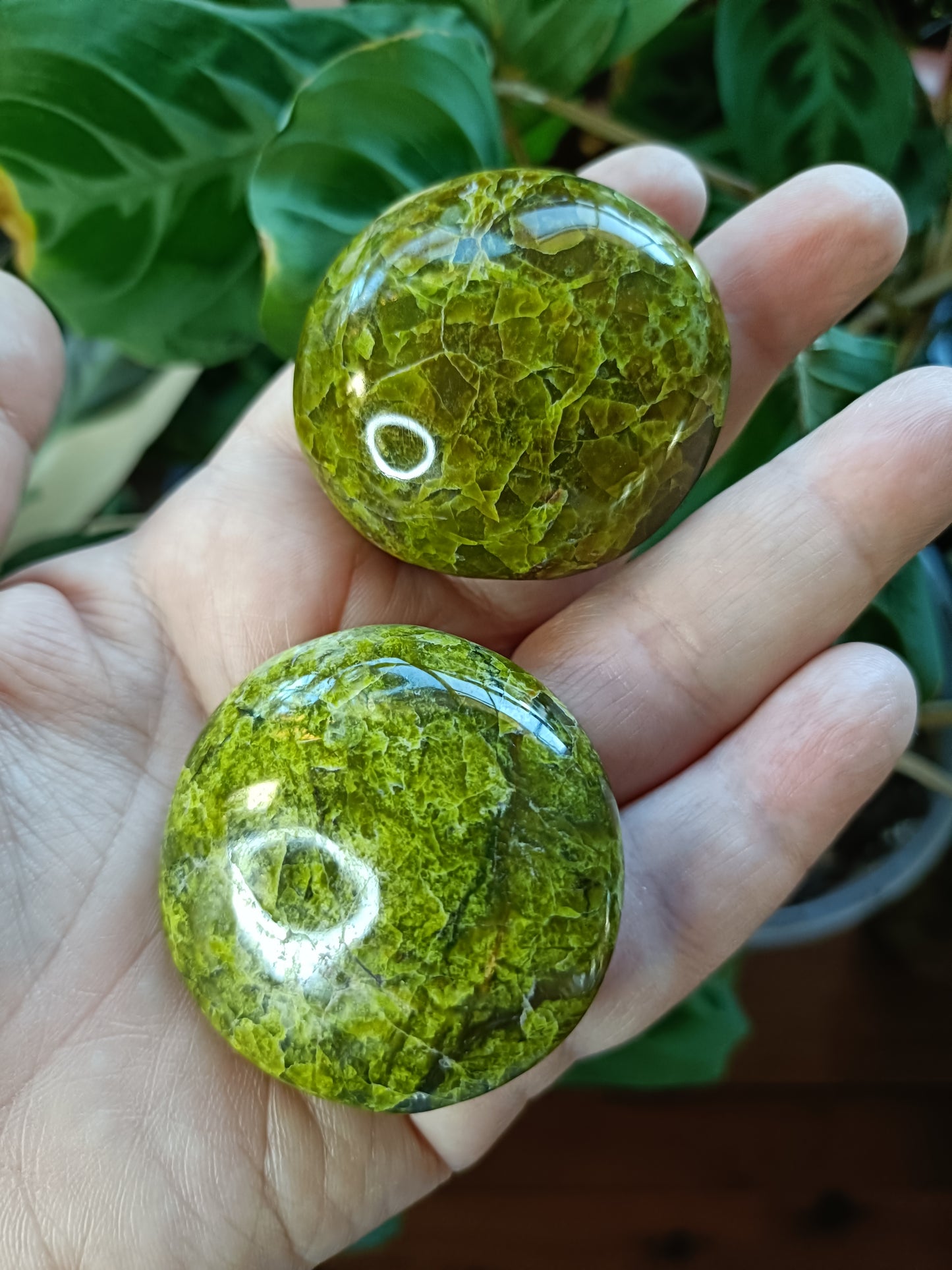 Green Opal Palm Stones - 60-100g