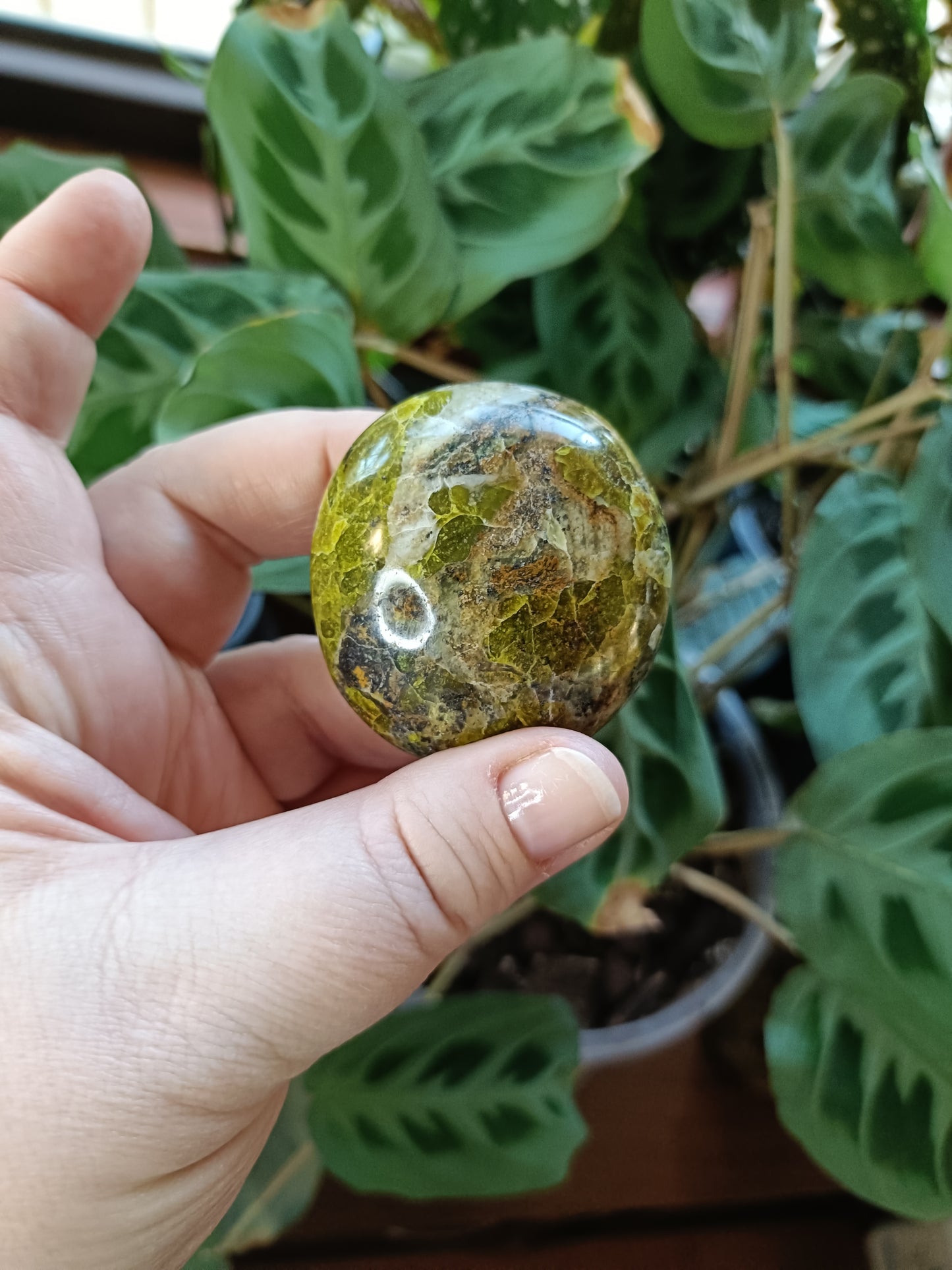 Green Opal Palm Stones - 60-100g