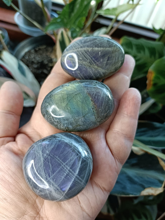 Purple Labradorite Palm Stone - 40-80g