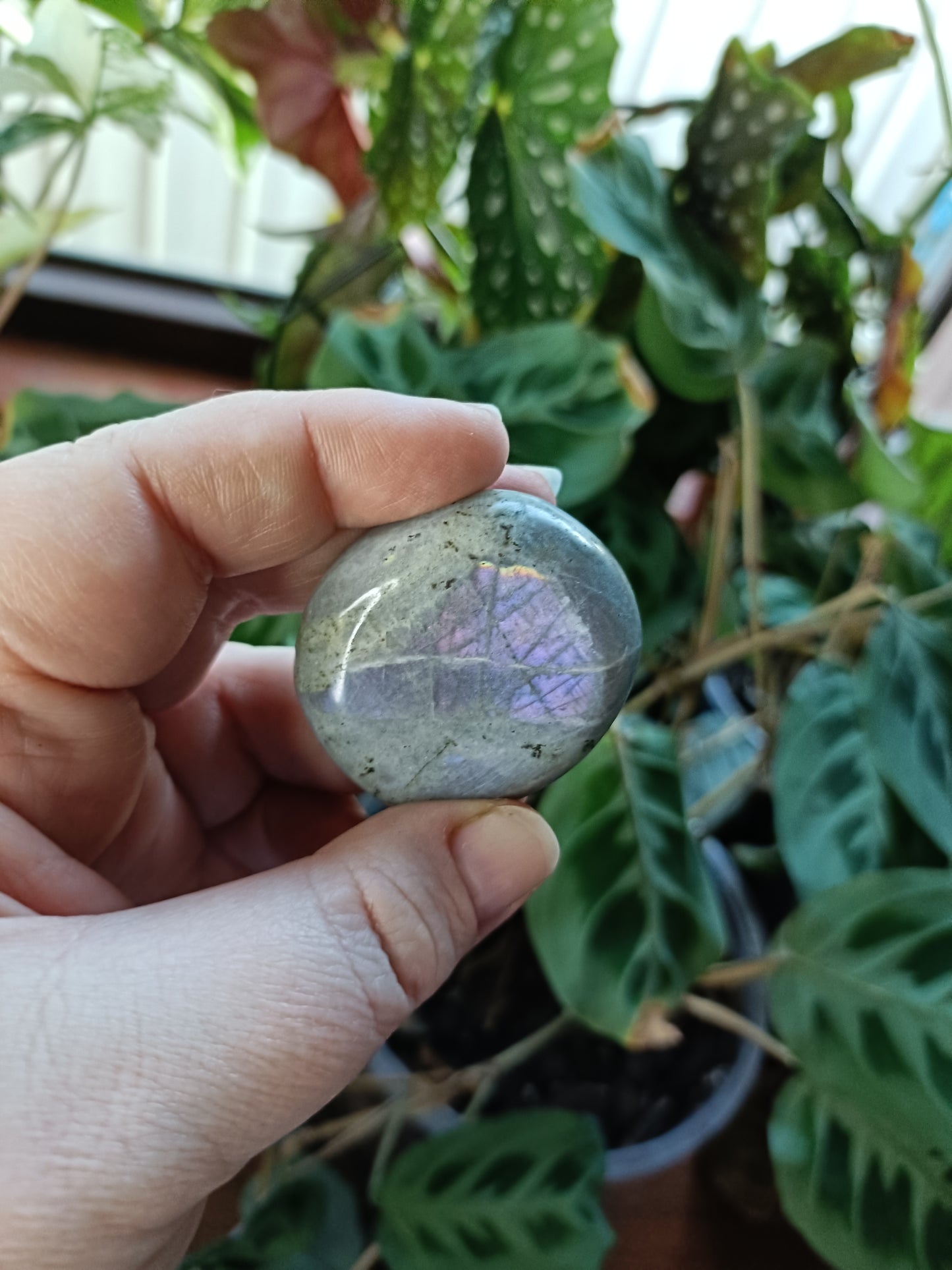 Purple Labradorite Palm Stone - 40-80g