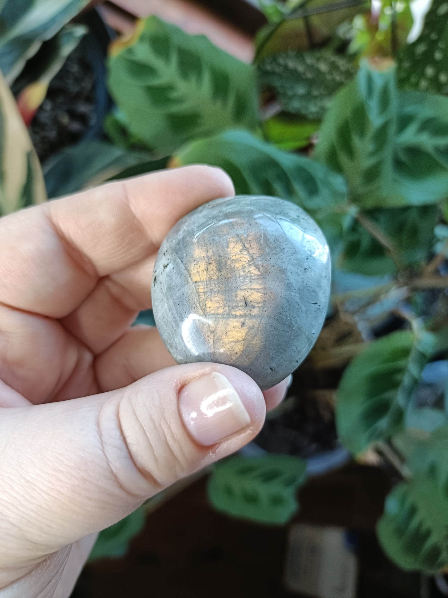 Purple Labradorite Palm Stone - 40-80g