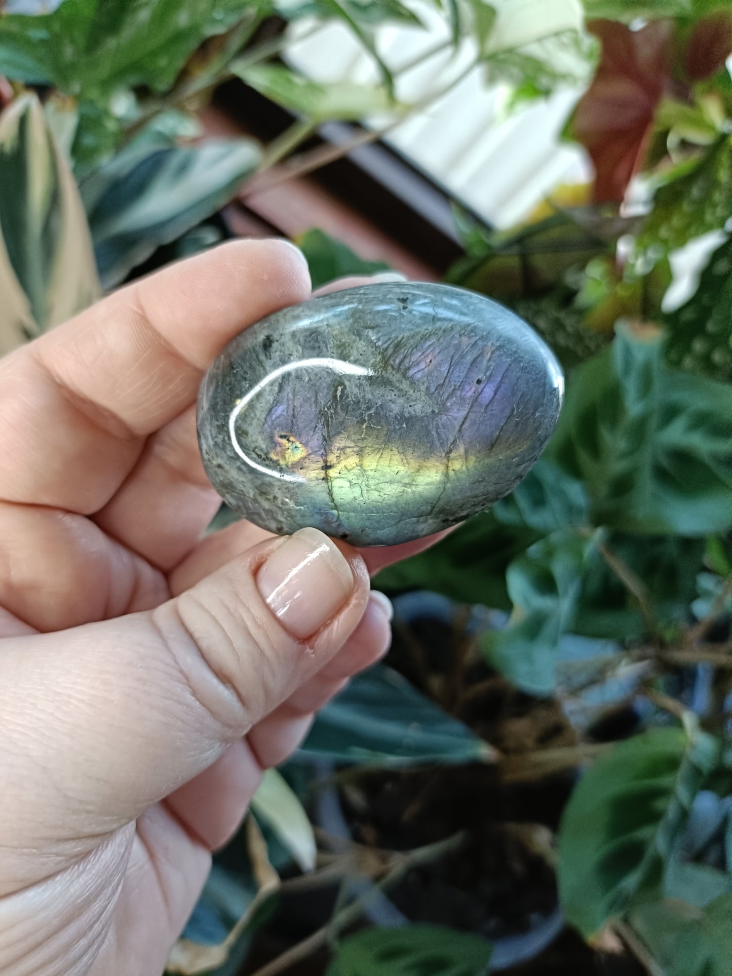 Purple Labradorite Palm Stone - 40-80g