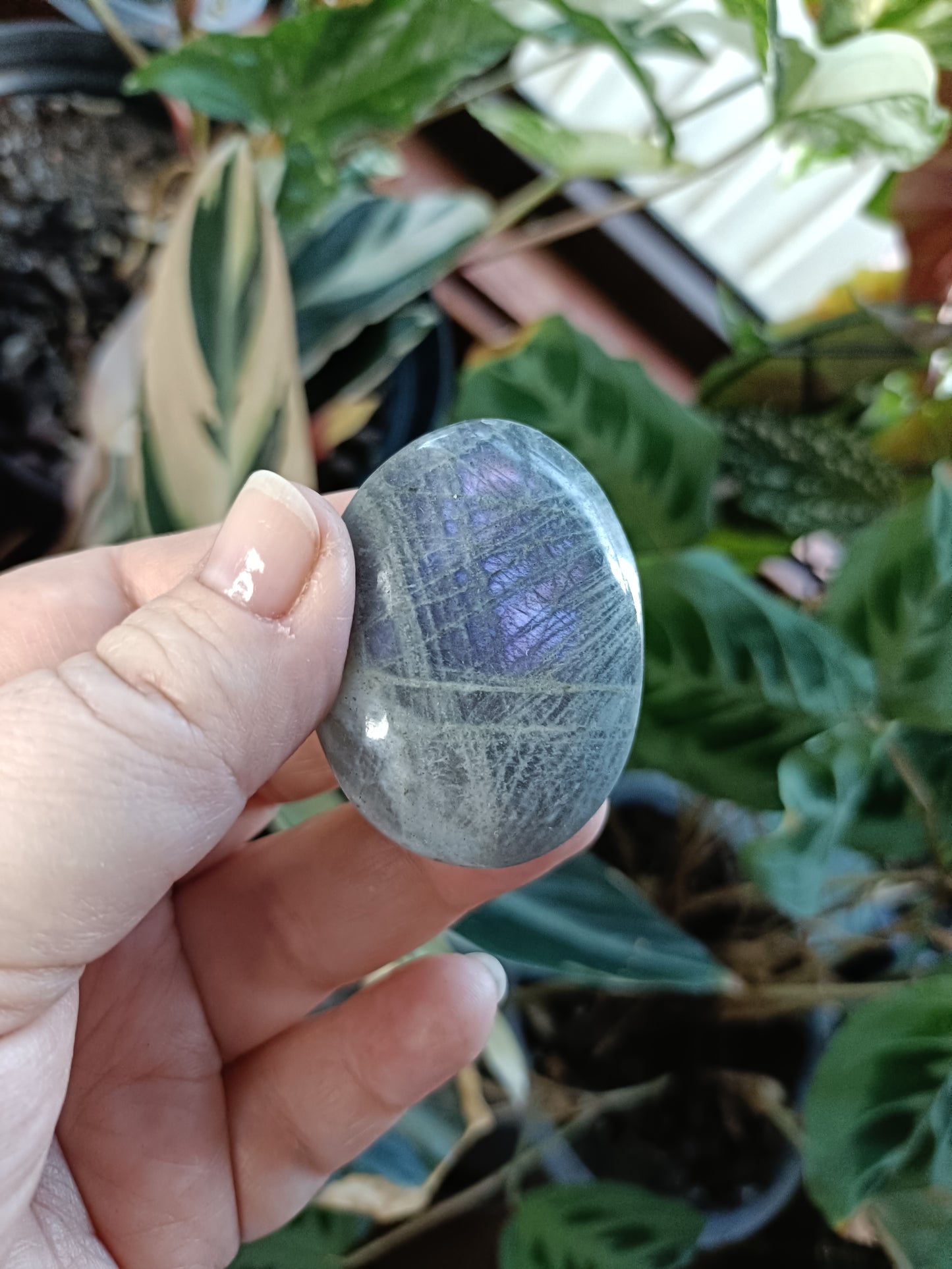 Purple Labradorite Palm Stone - 40-80g
