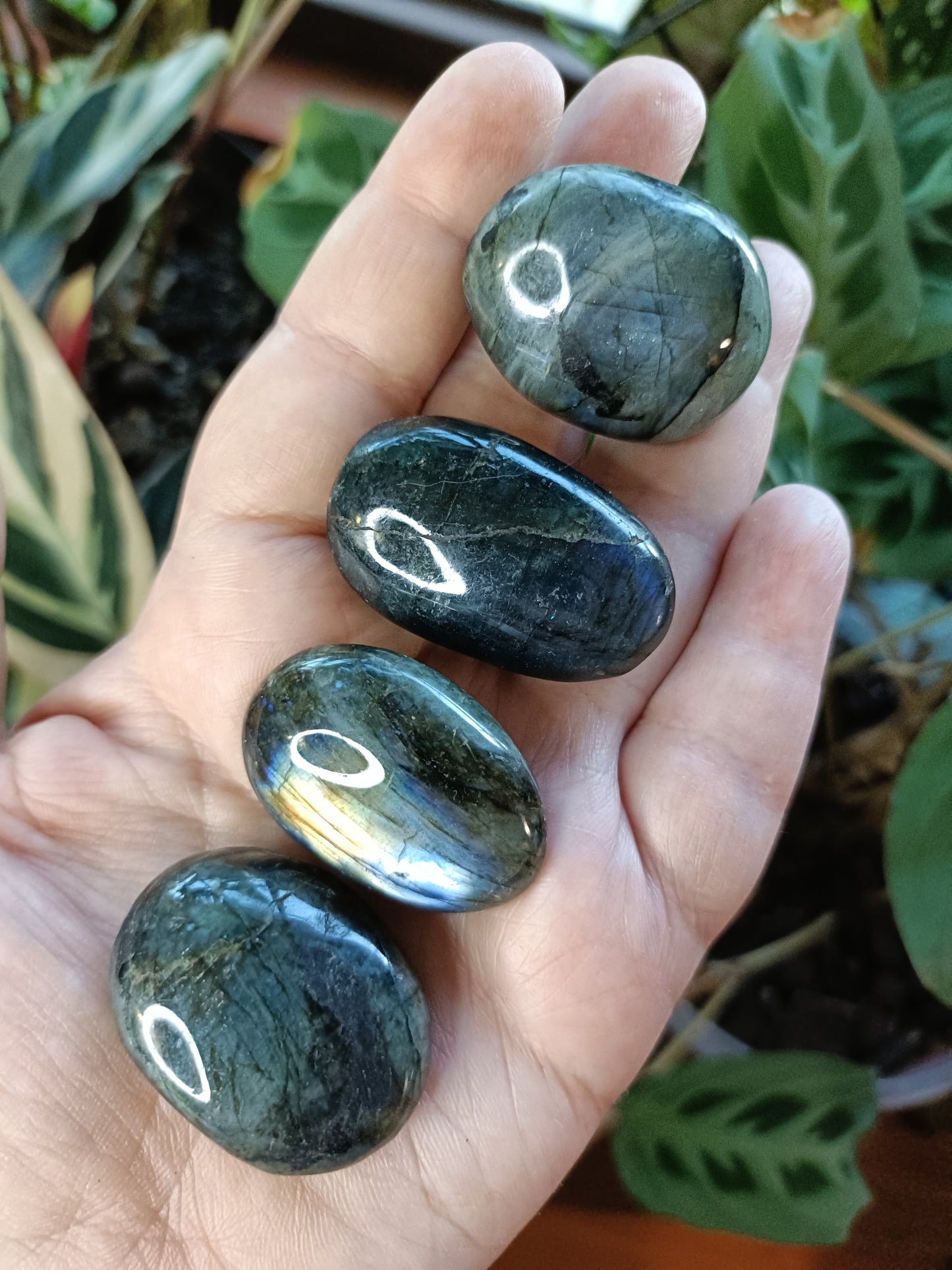 Small Labradorite Palm Stone - 20-30g