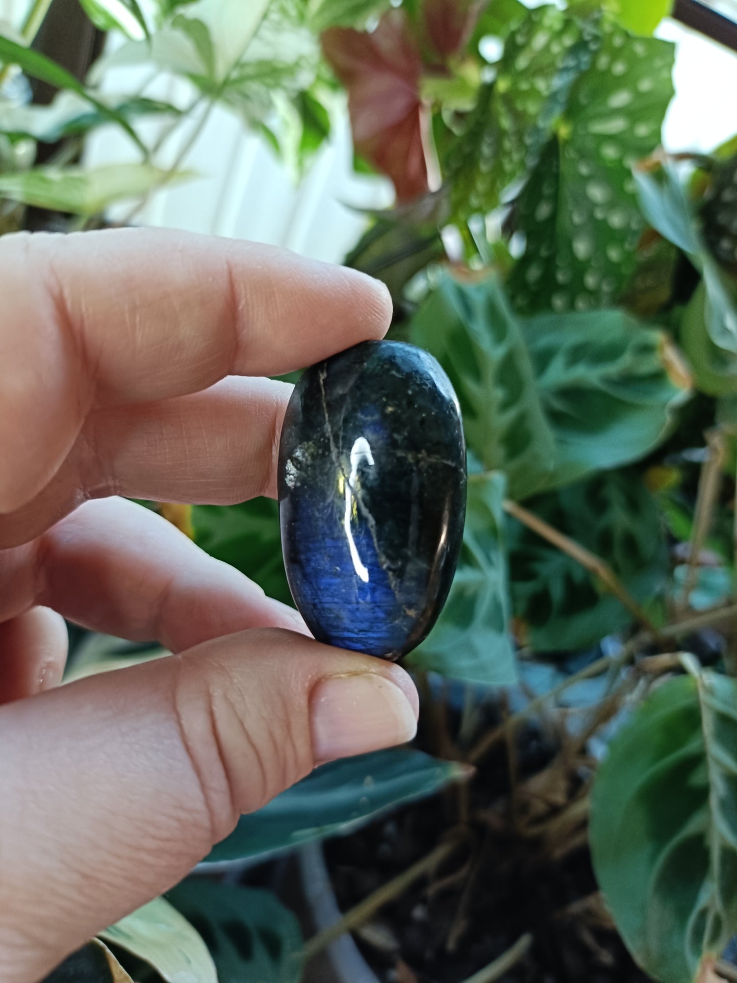 Small Labradorite Palm Stone - 20-30g