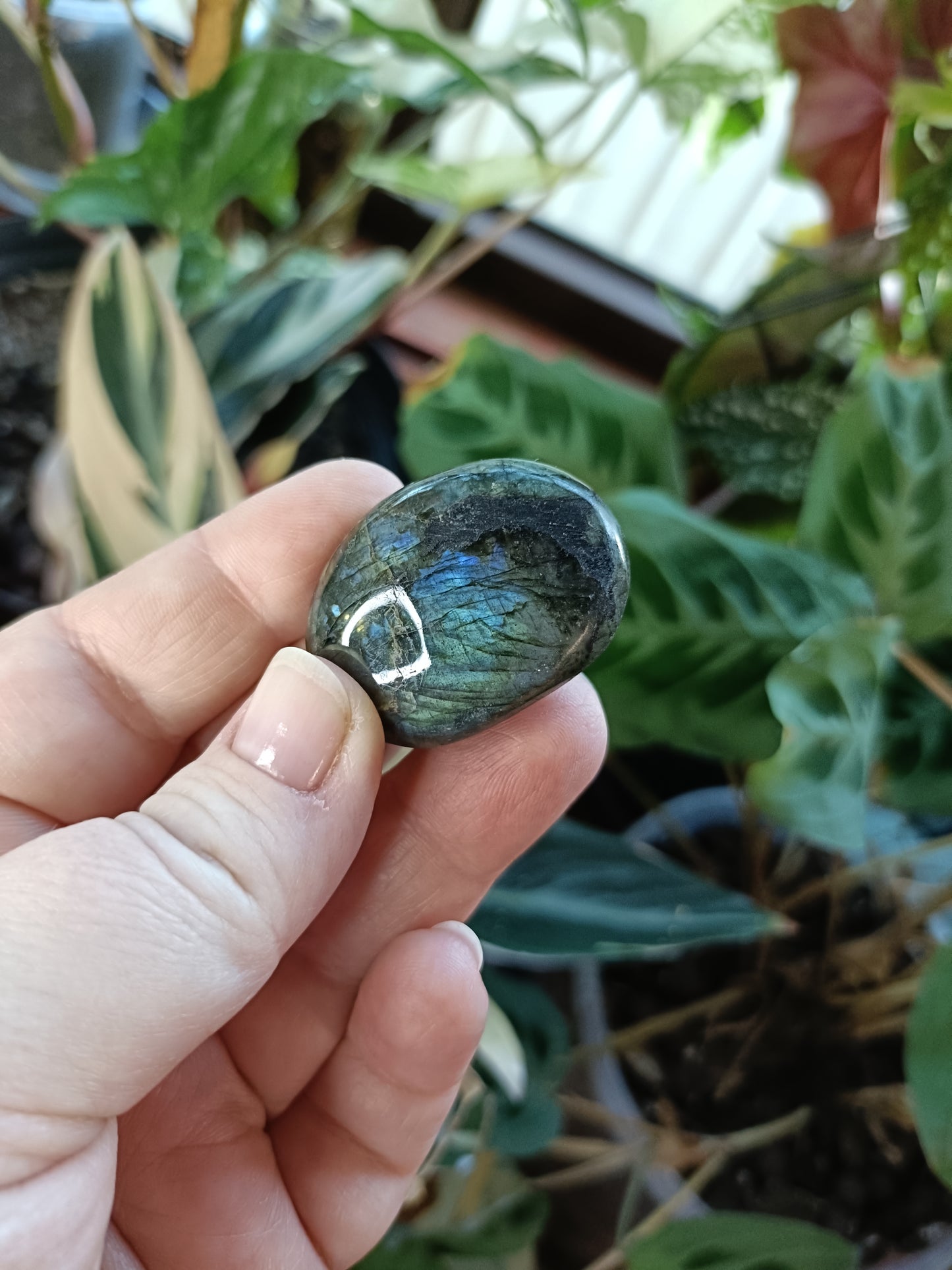 Small Labradorite Palm Stone - 20-30g