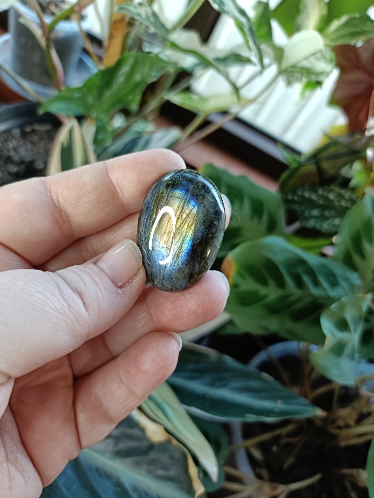 Small Labradorite Palm Stone - 20-30g