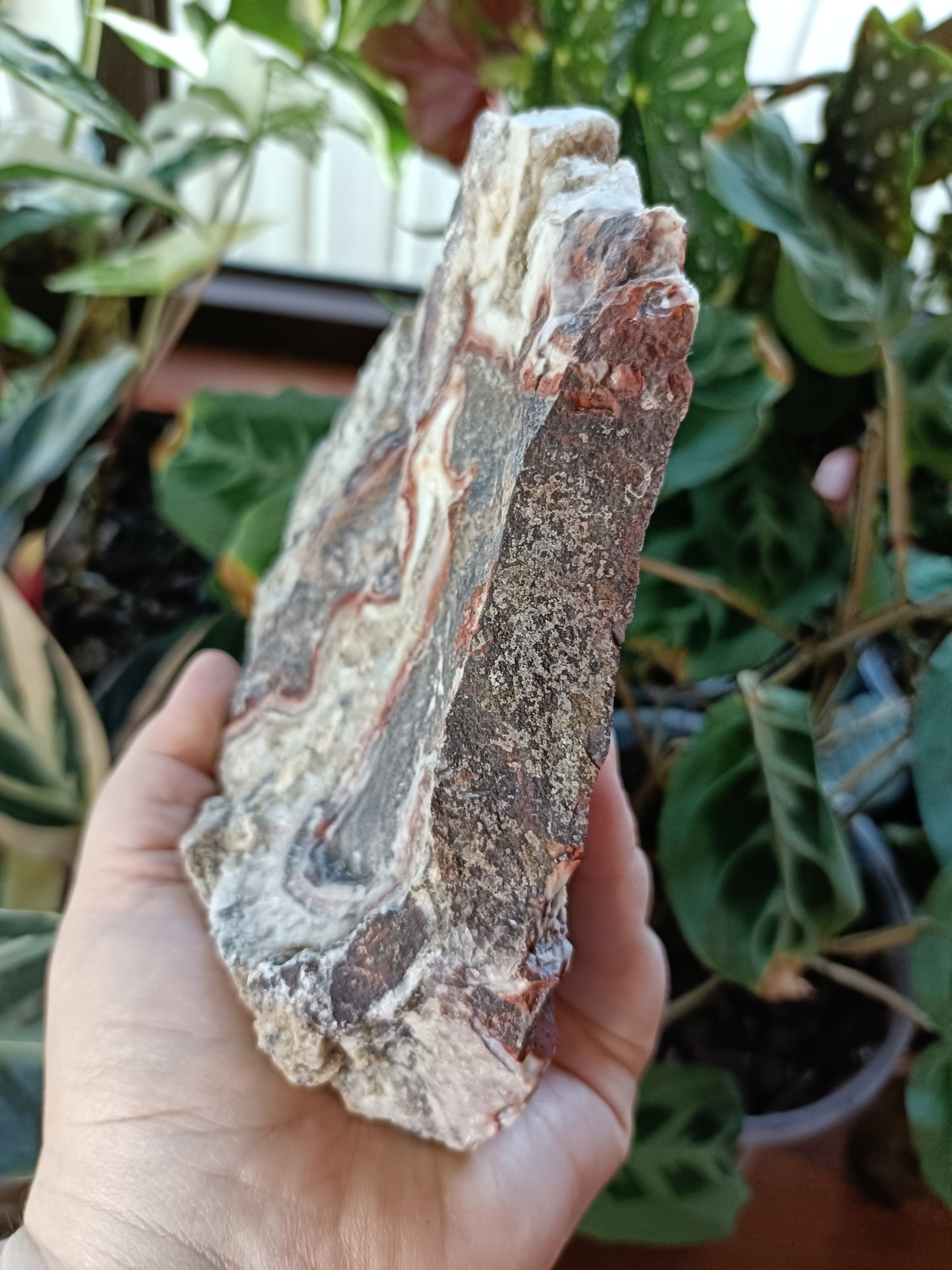 Mexican Lace Agate Rough - 1381g