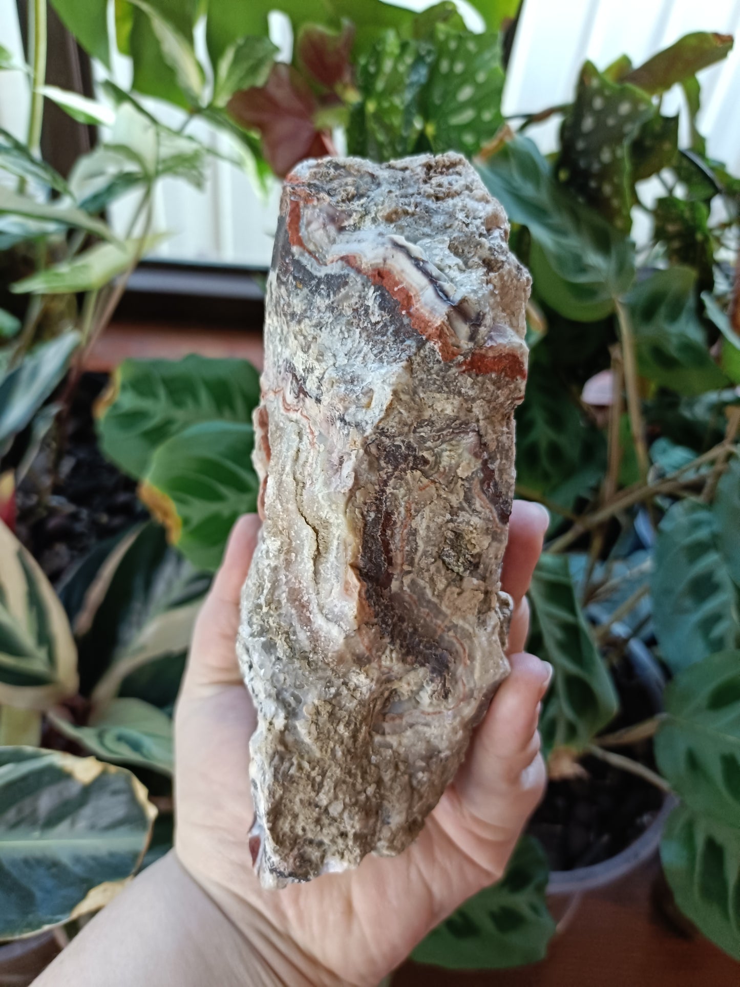 Mexican Lace Agate Rough - 1381g