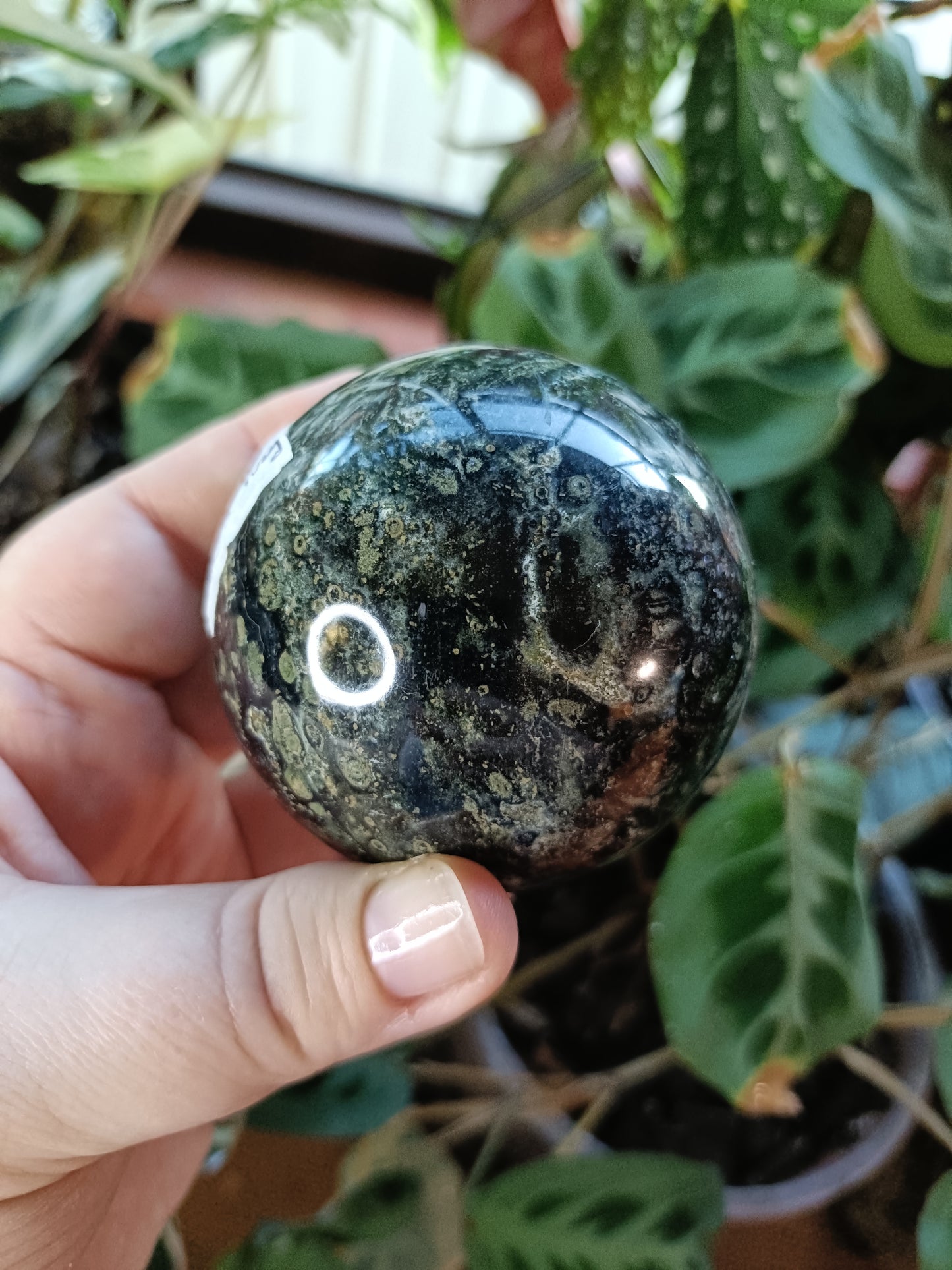 Kambaba Jasper Sphere - 432g