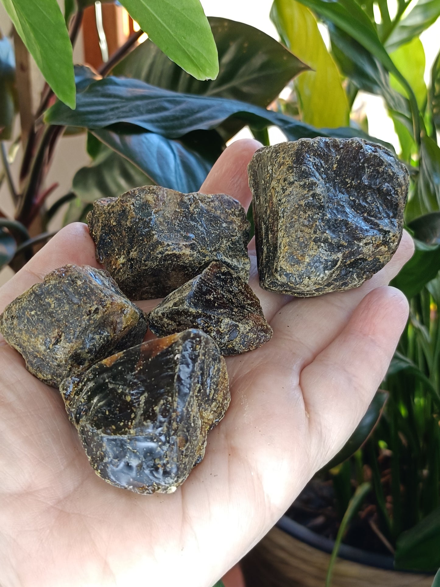 Copal Amber Rough - 50g