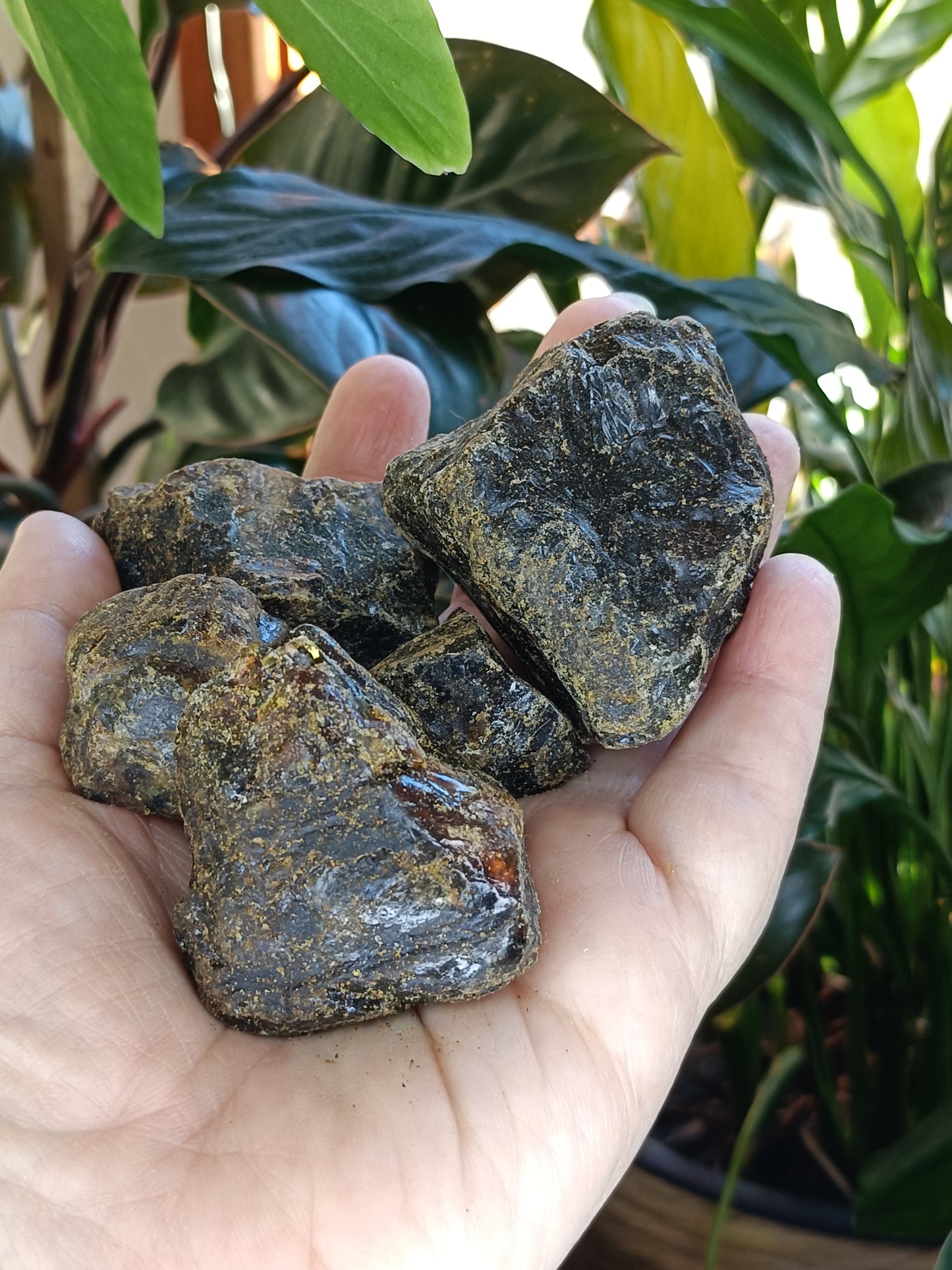 Copal Amber Rough - 50g