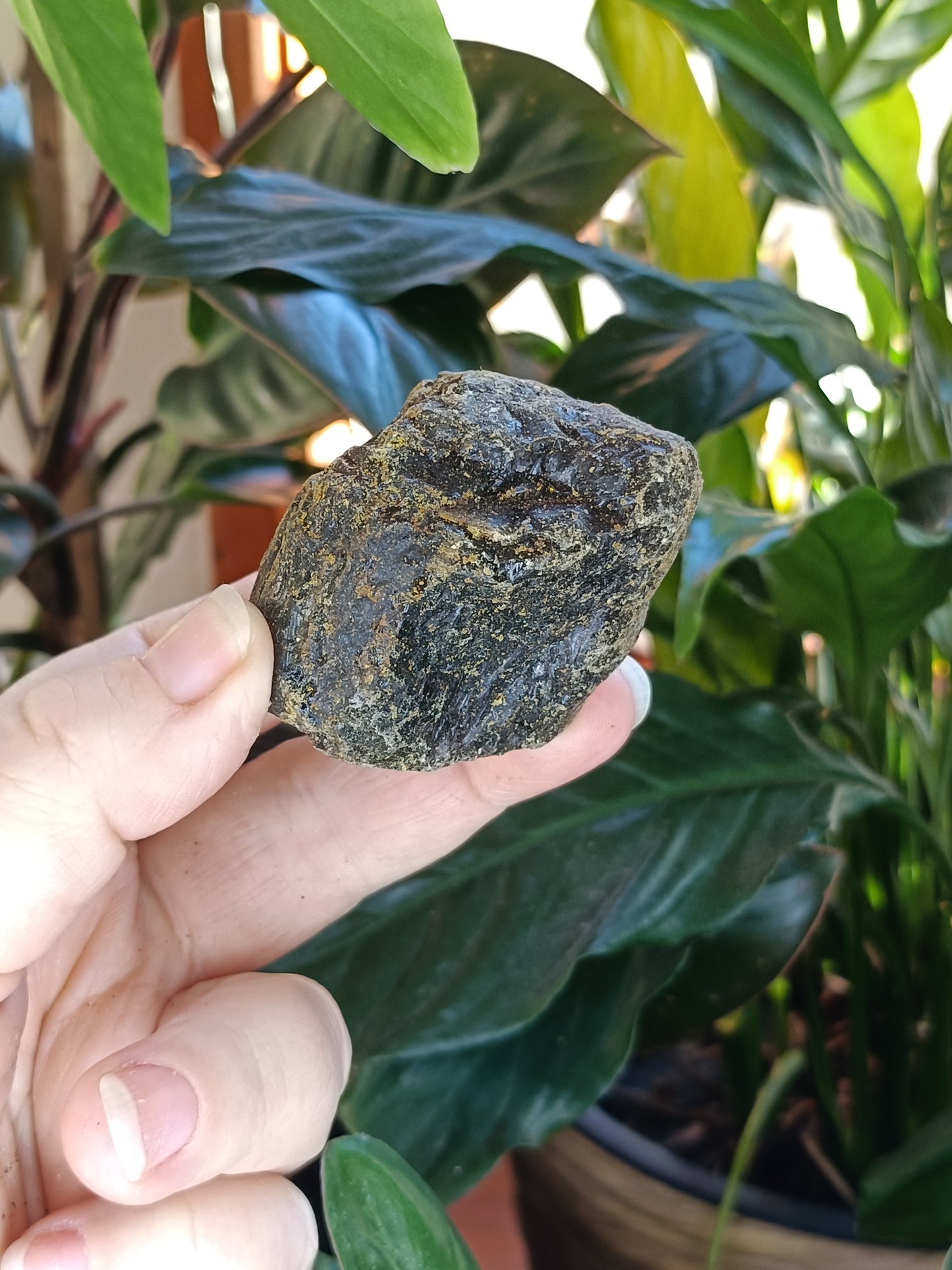 Copal Amber Rough - 50g