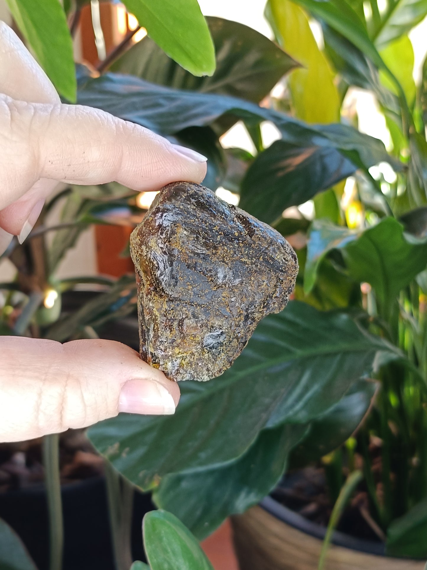Copal Amber Rough - 50g