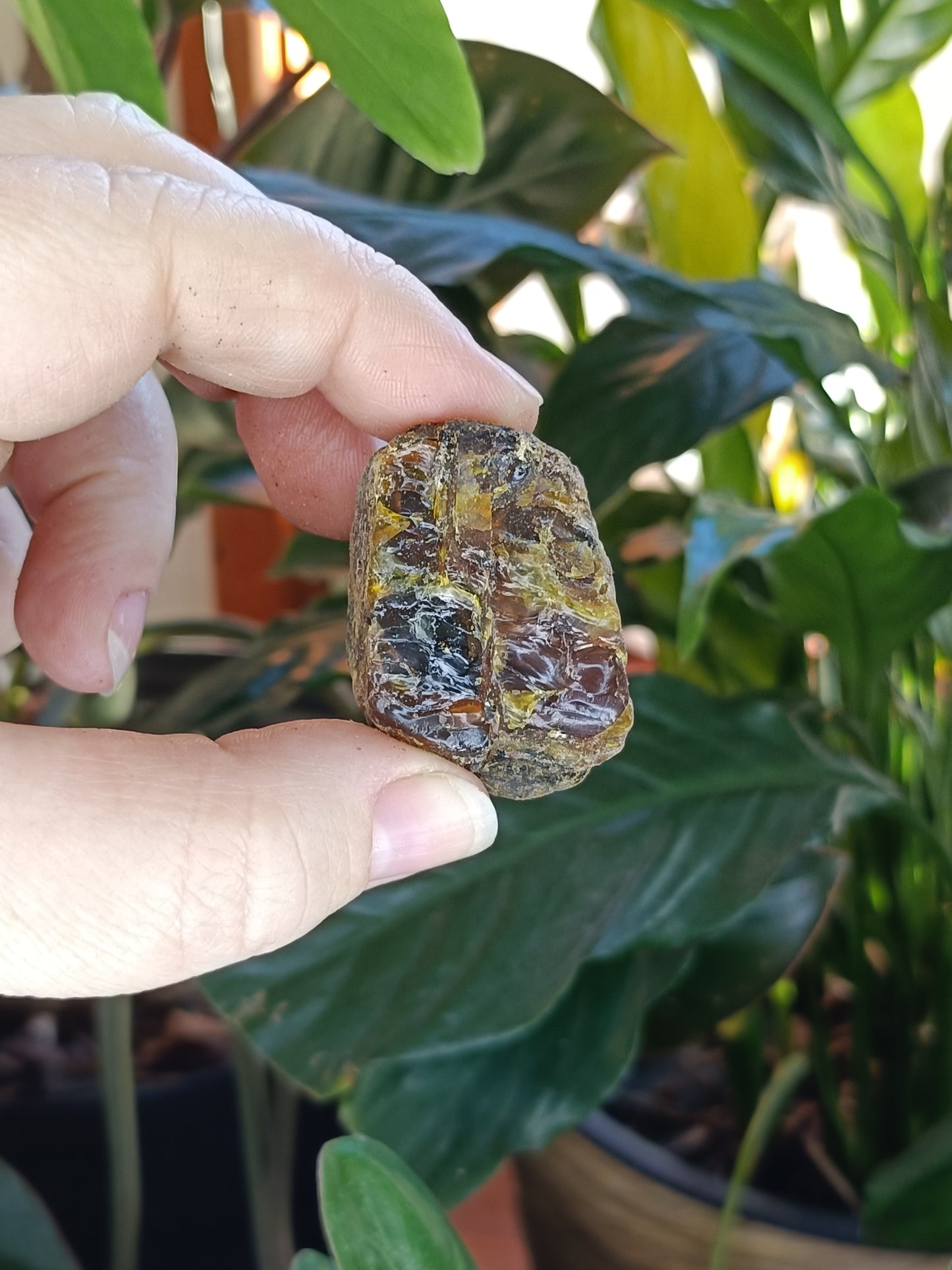 Copal Amber Rough - 50g