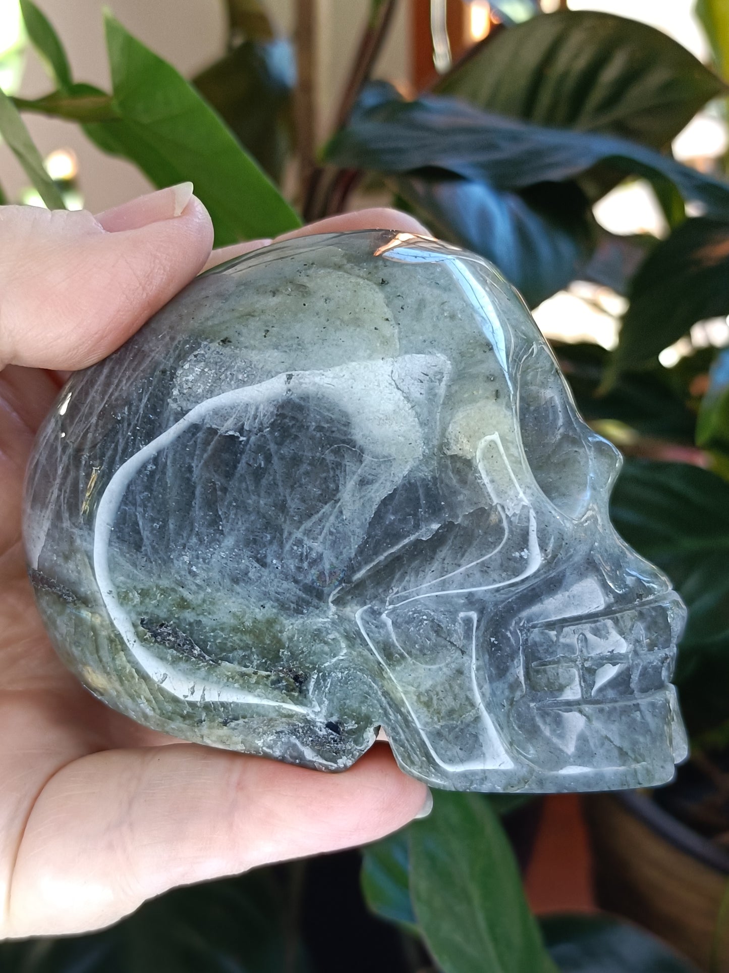 Labradorite Skull Carving - 468g