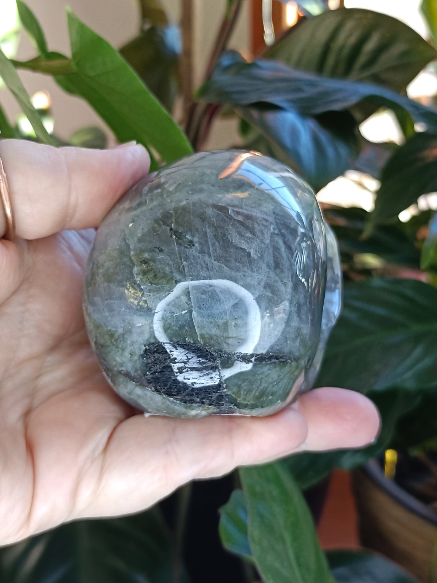 Labradorite Skull Carving - 468g