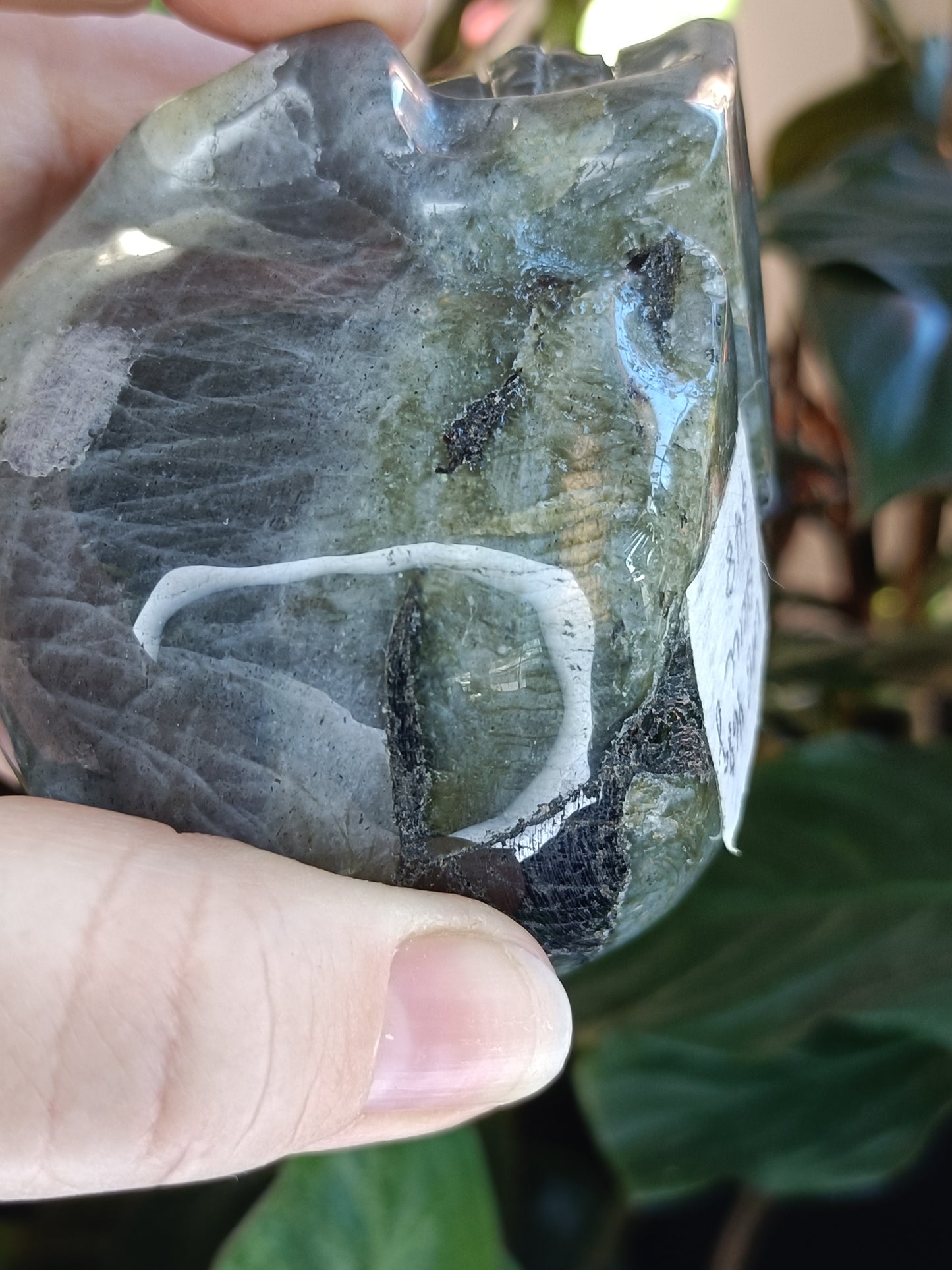 Labradorite Skull Carving - 468g