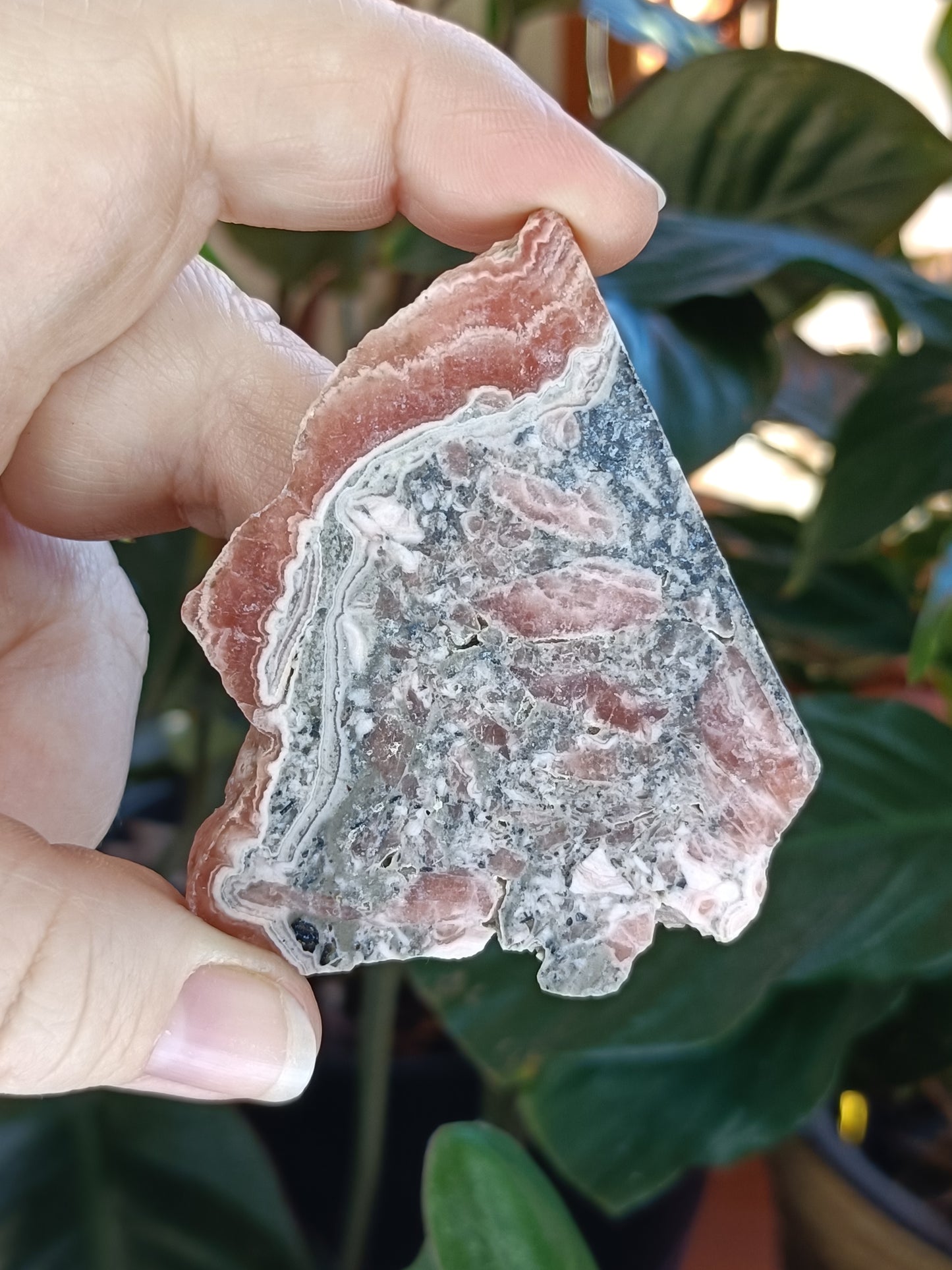 Rhodochrosite Polished Slab - 48g
