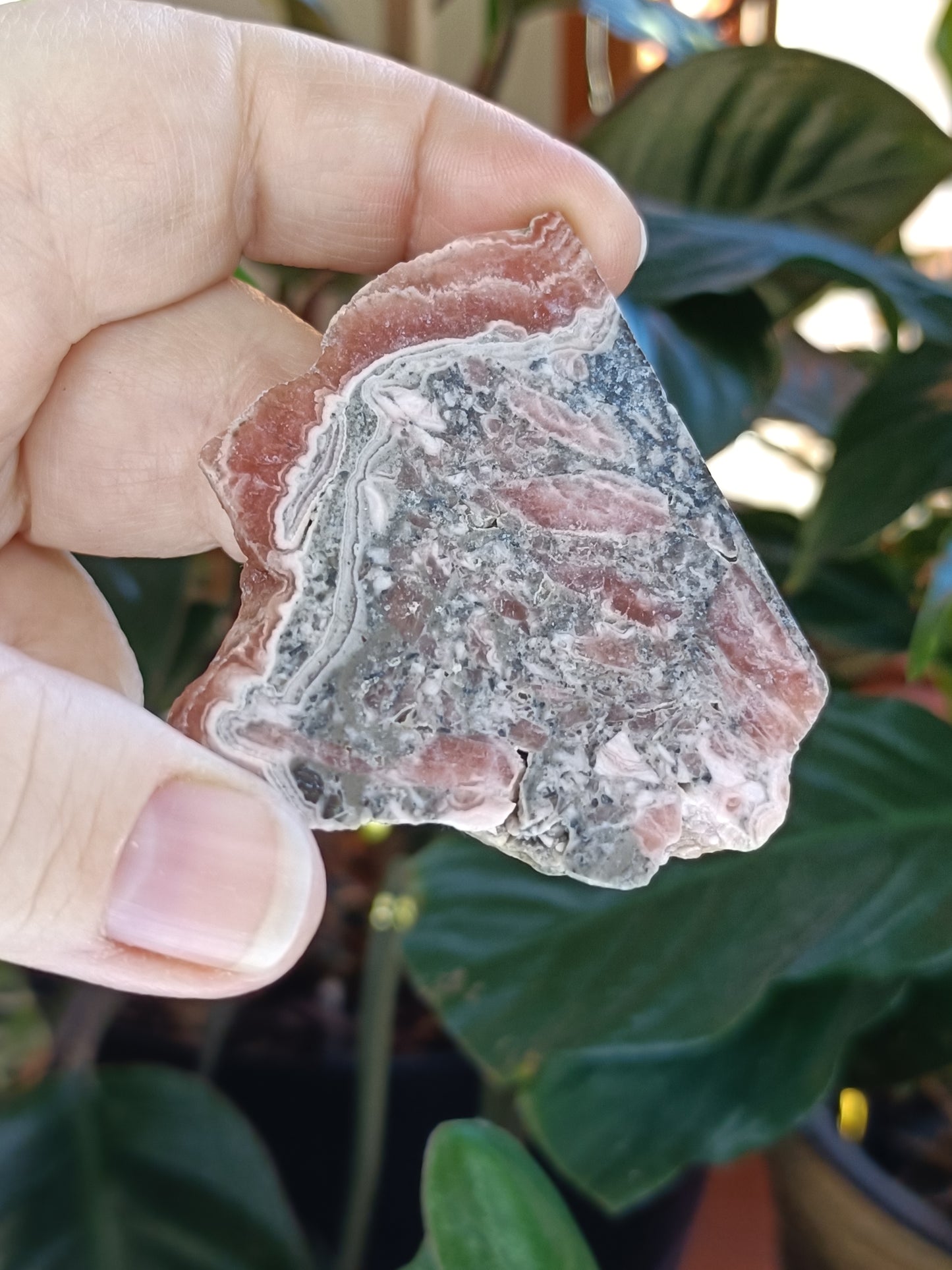 Rhodochrosite Polished Slab - 48g