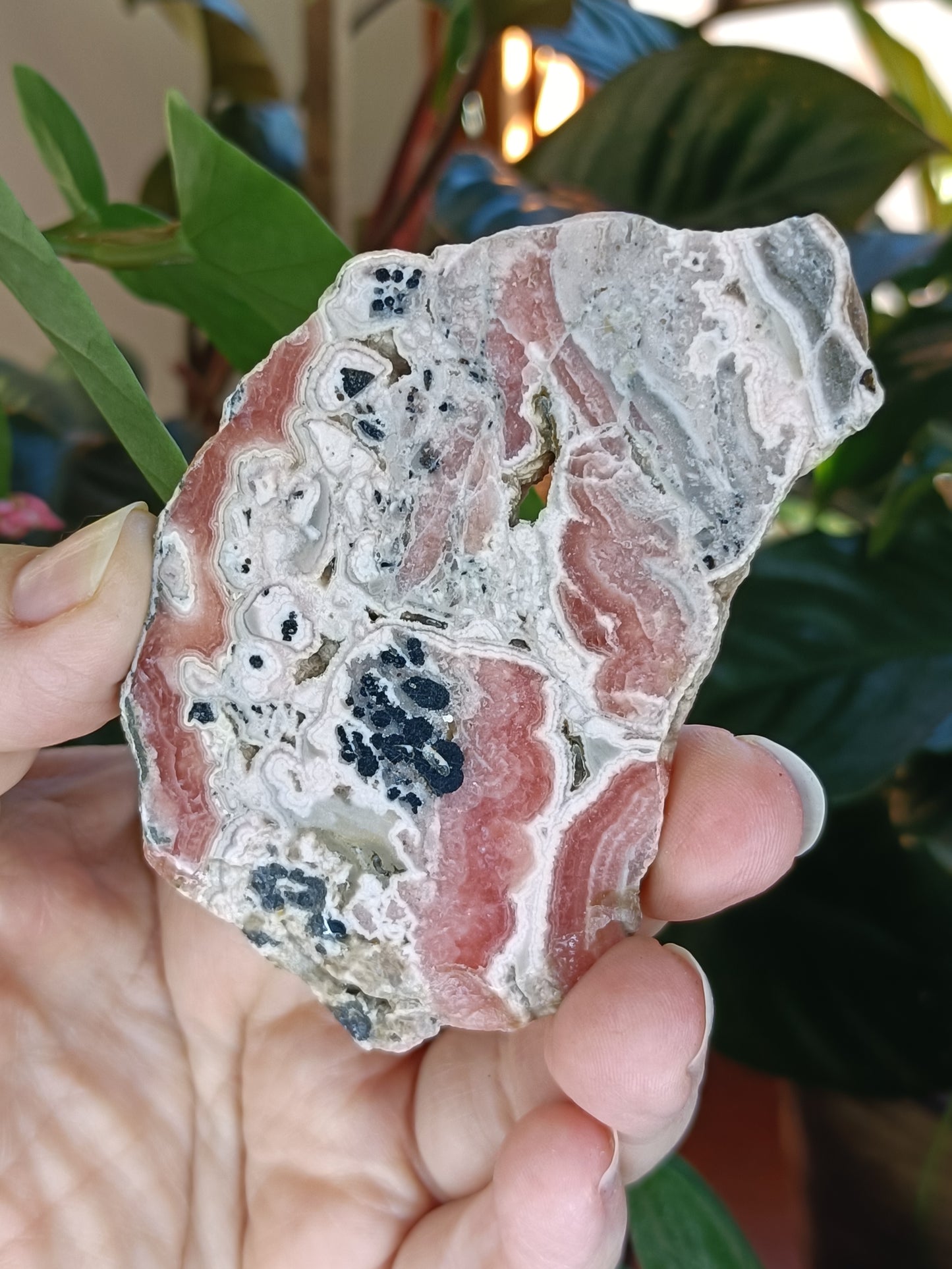 Rhodochrosite Polished Slab - 68g