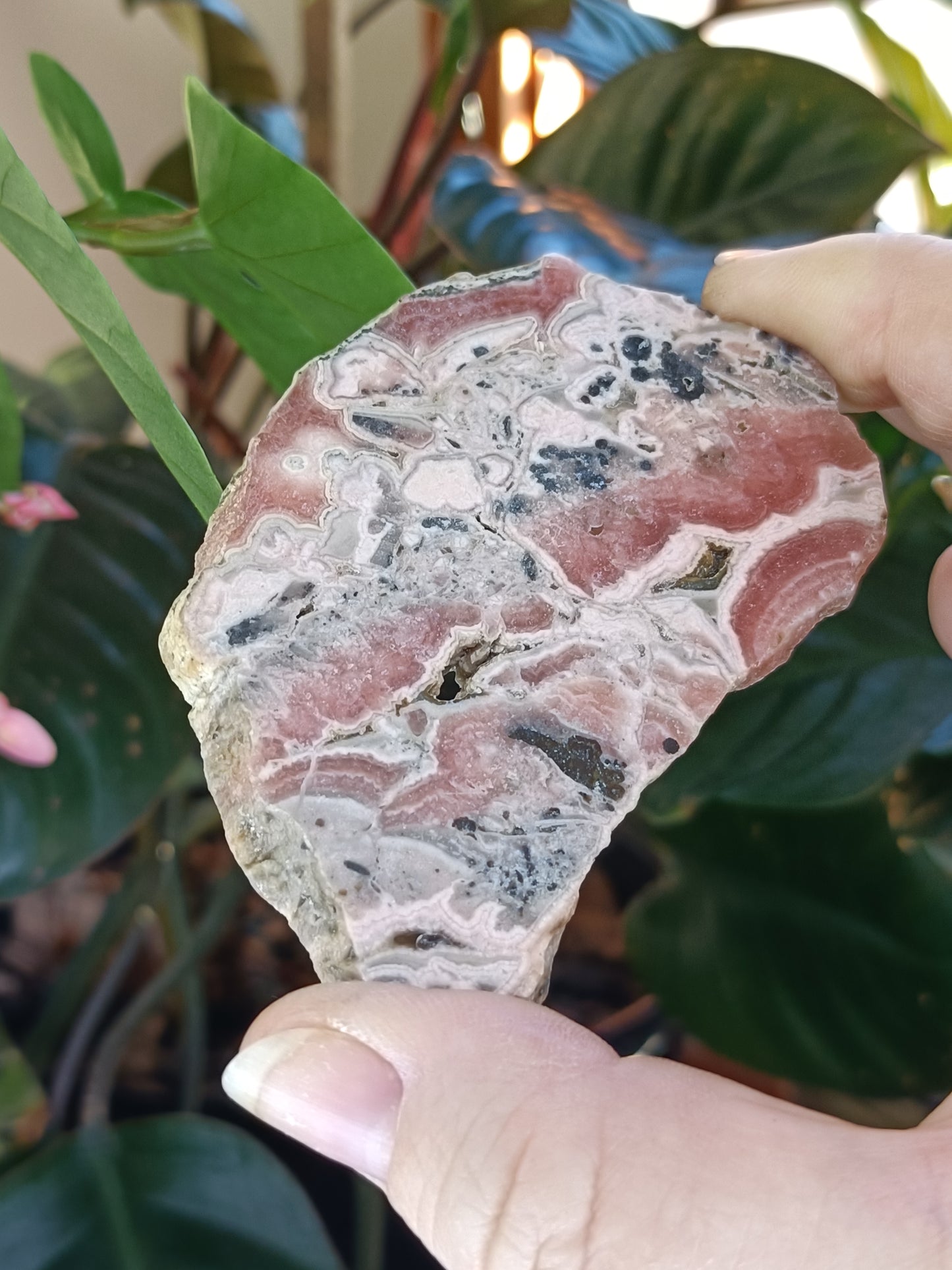 Rhodochrosite Polished Slab - 68g