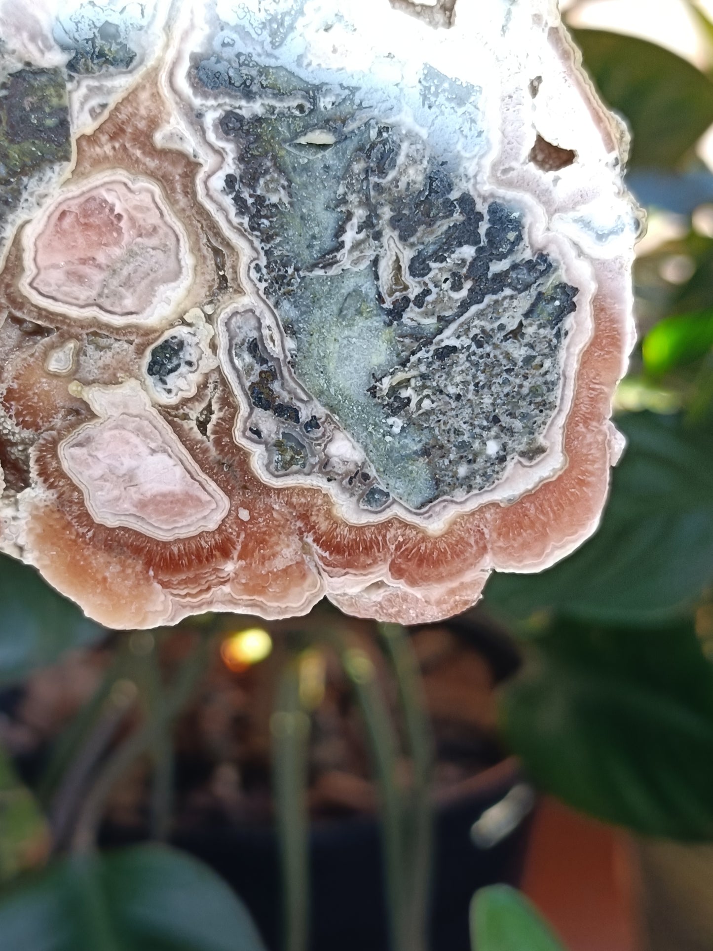 Rhodochrosite Polished Slab - 113g
