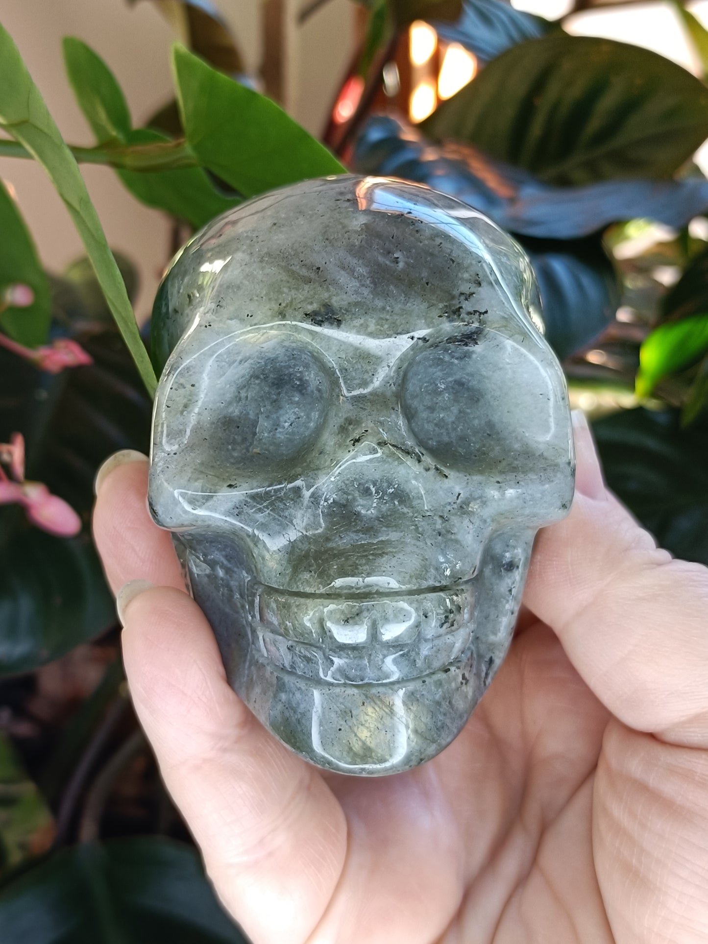 Labradorite Skull Carving - 473g