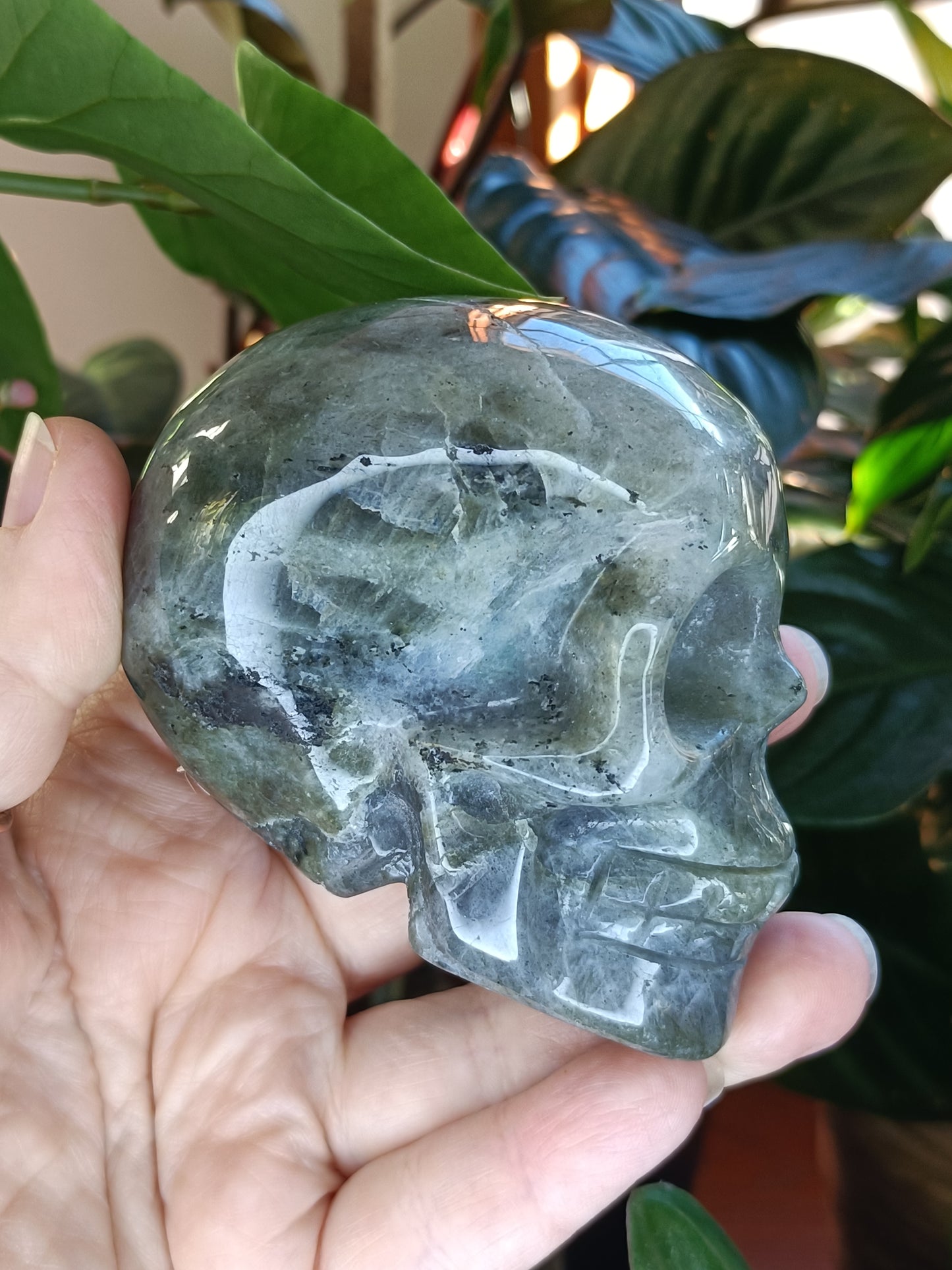Labradorite Skull Carving - 473g