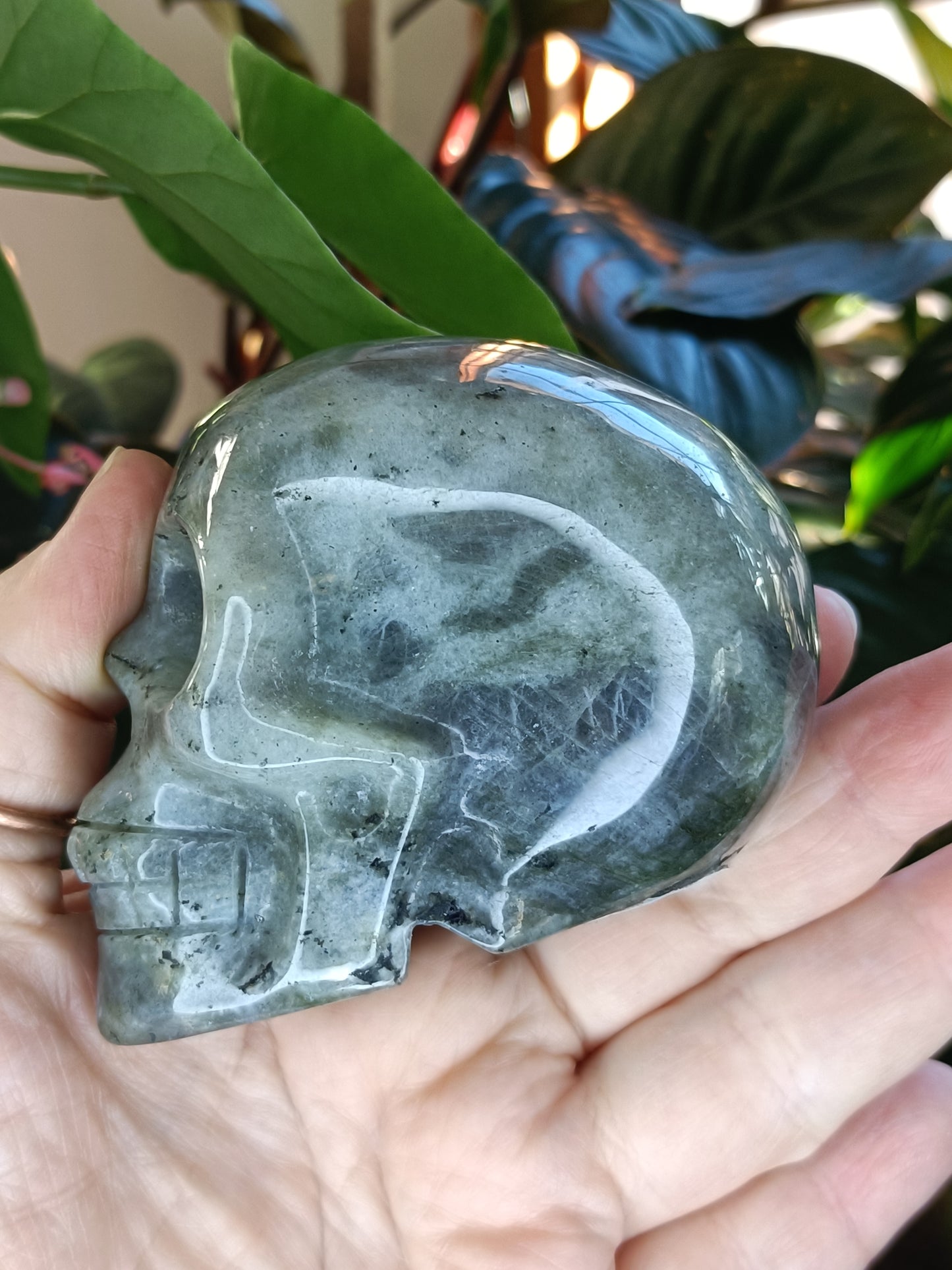 Labradorite Skull Carving - 473g