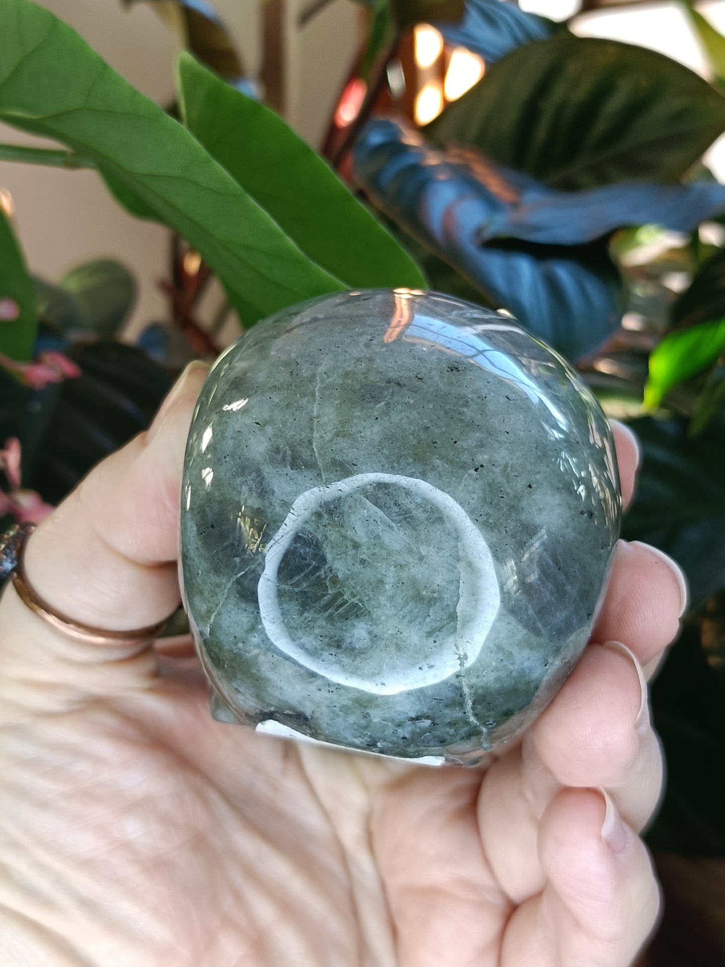 Labradorite Skull Carving - 473g